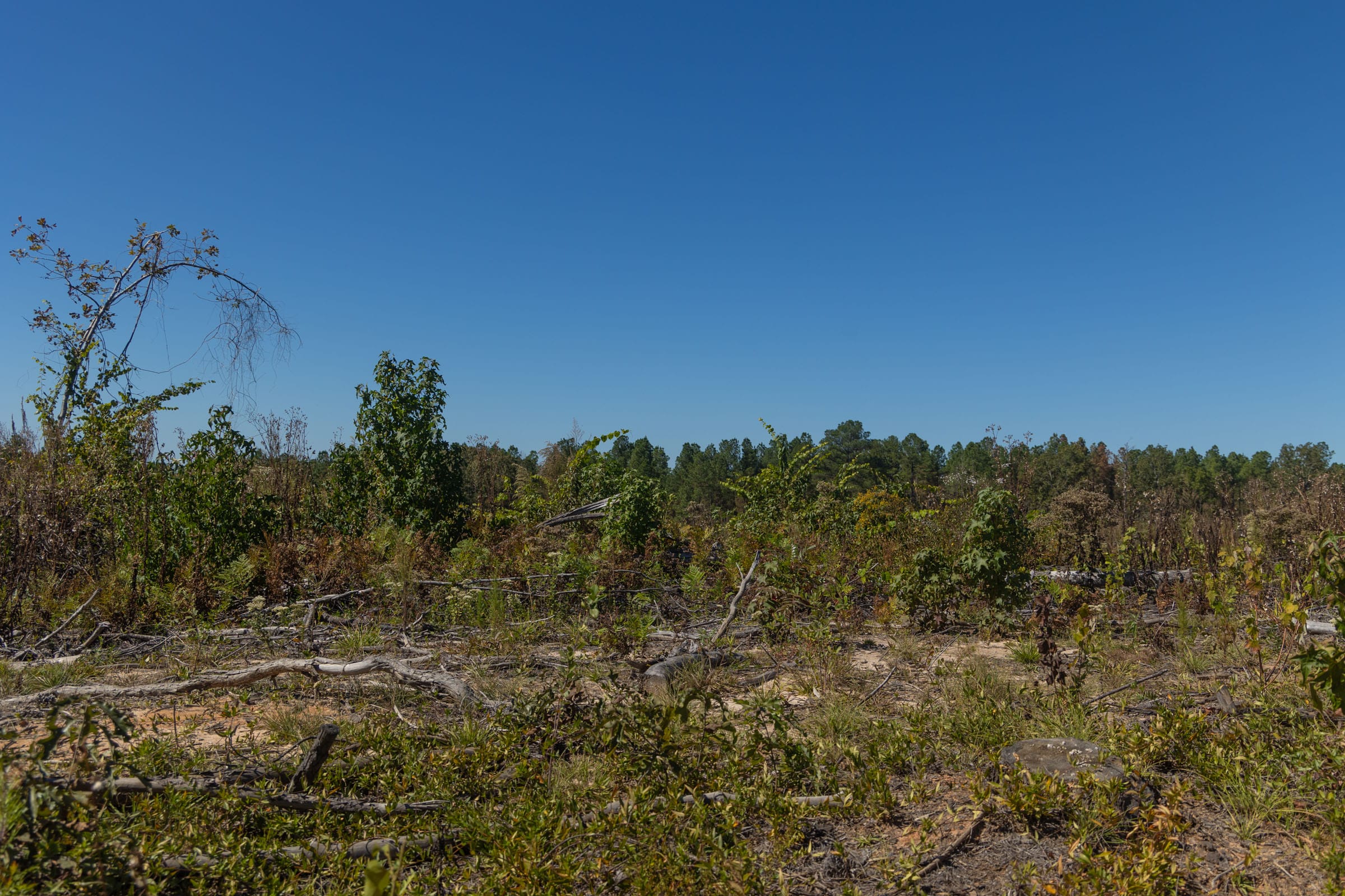 Meyer’s Ridge Tract 43 photo 6