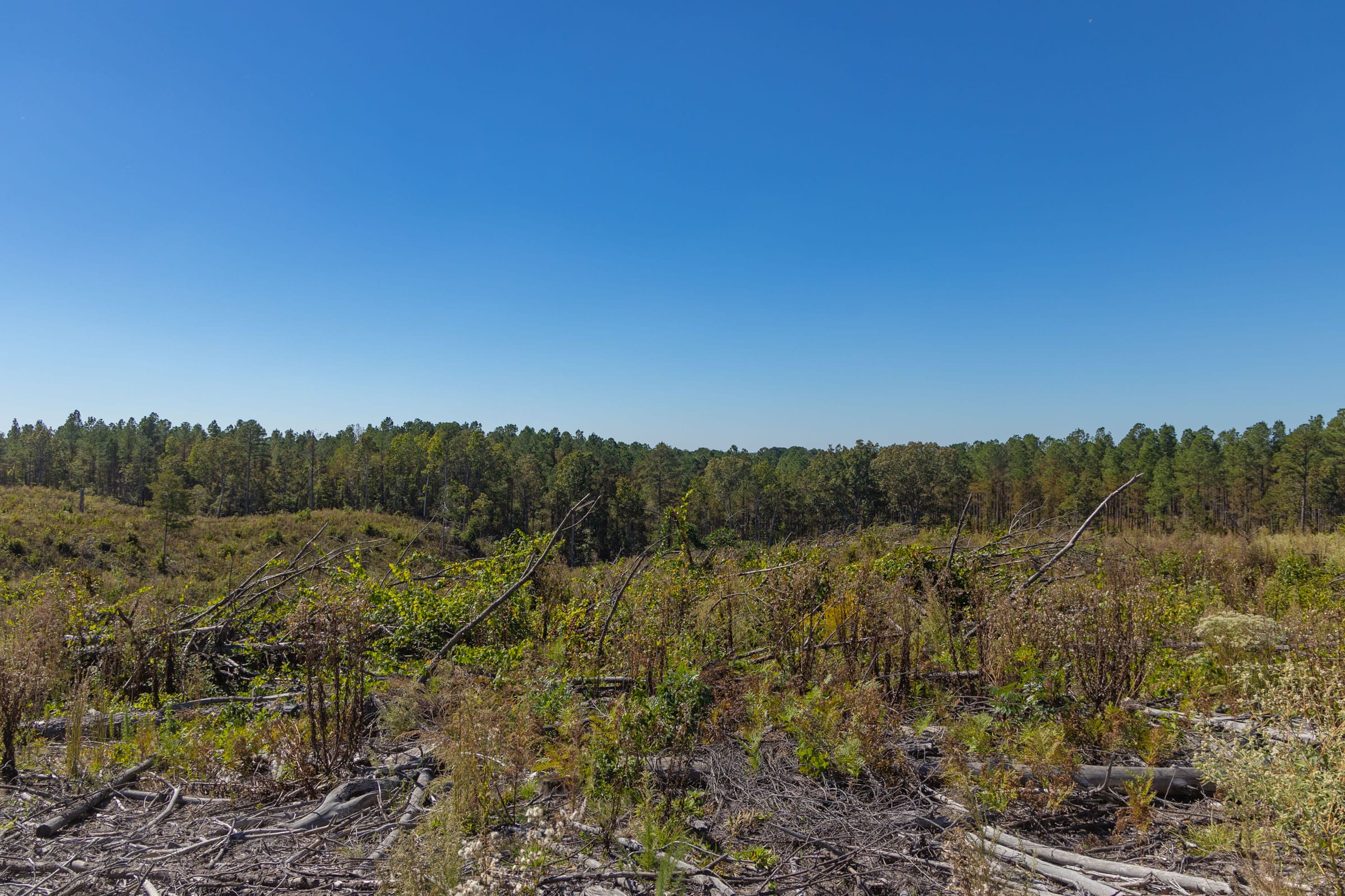 Meyer’s Ridge Tract 43 photo 4