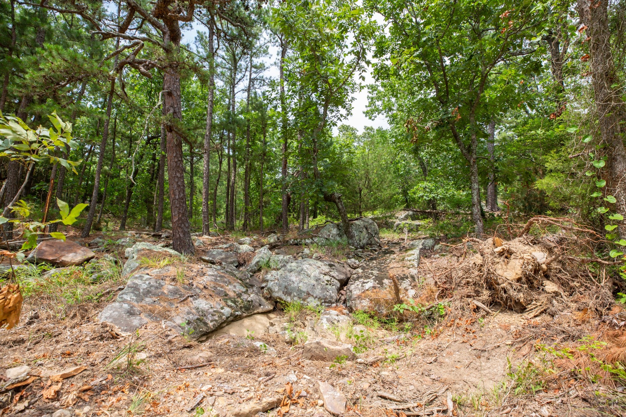 Eagle’s Nest Tract 52 photo 2