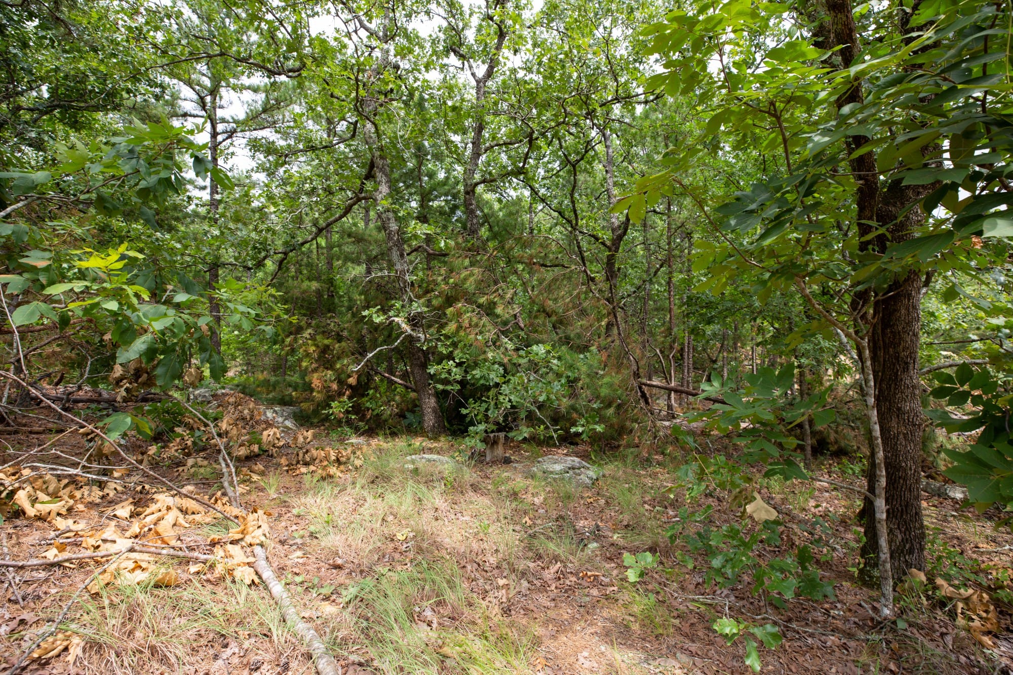 Eagle’s Nest Tract 52 photo 3