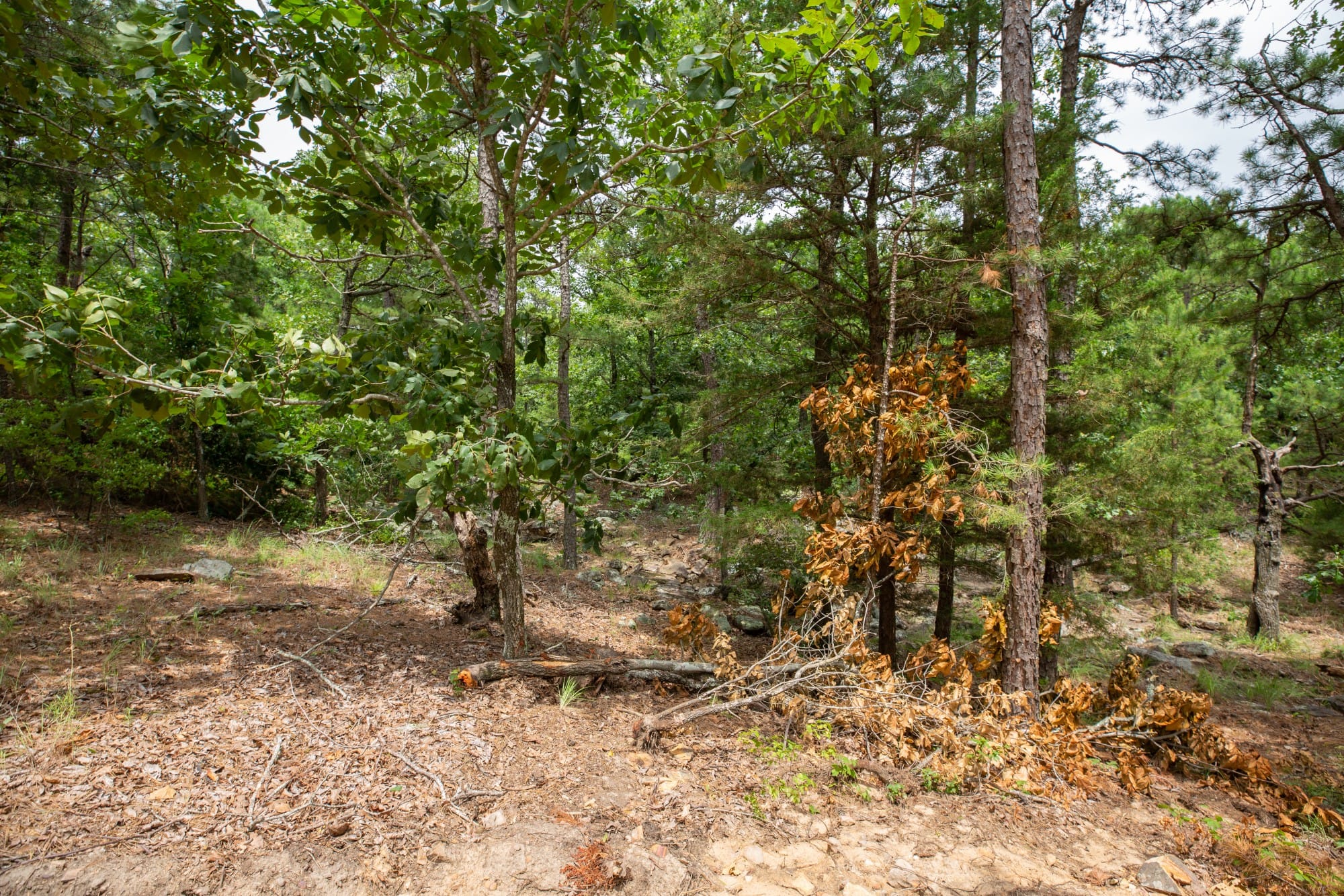 Eagle’s Nest Tract 52 photo 7