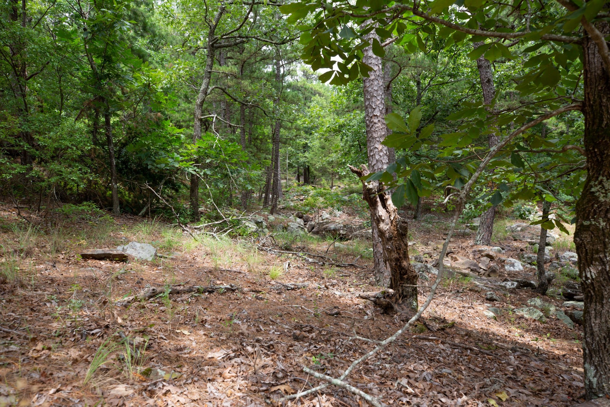 Eagle’s Nest Tract 52 photo 8