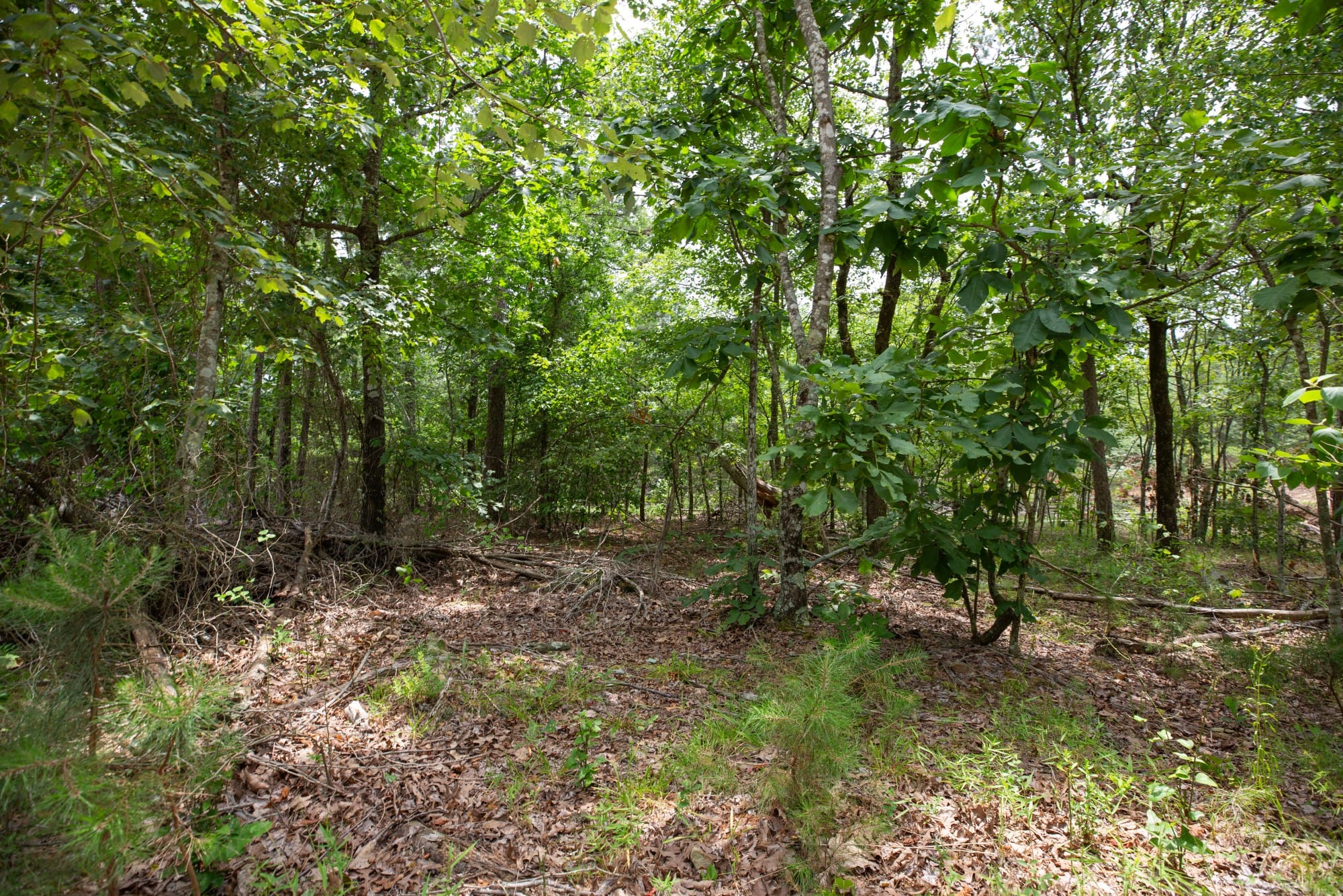 Eagle’s Nest Tract 52 photo 9