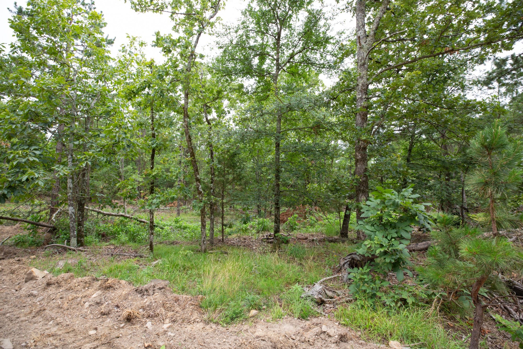 Eagle’s Nest Tract 52 photo 11