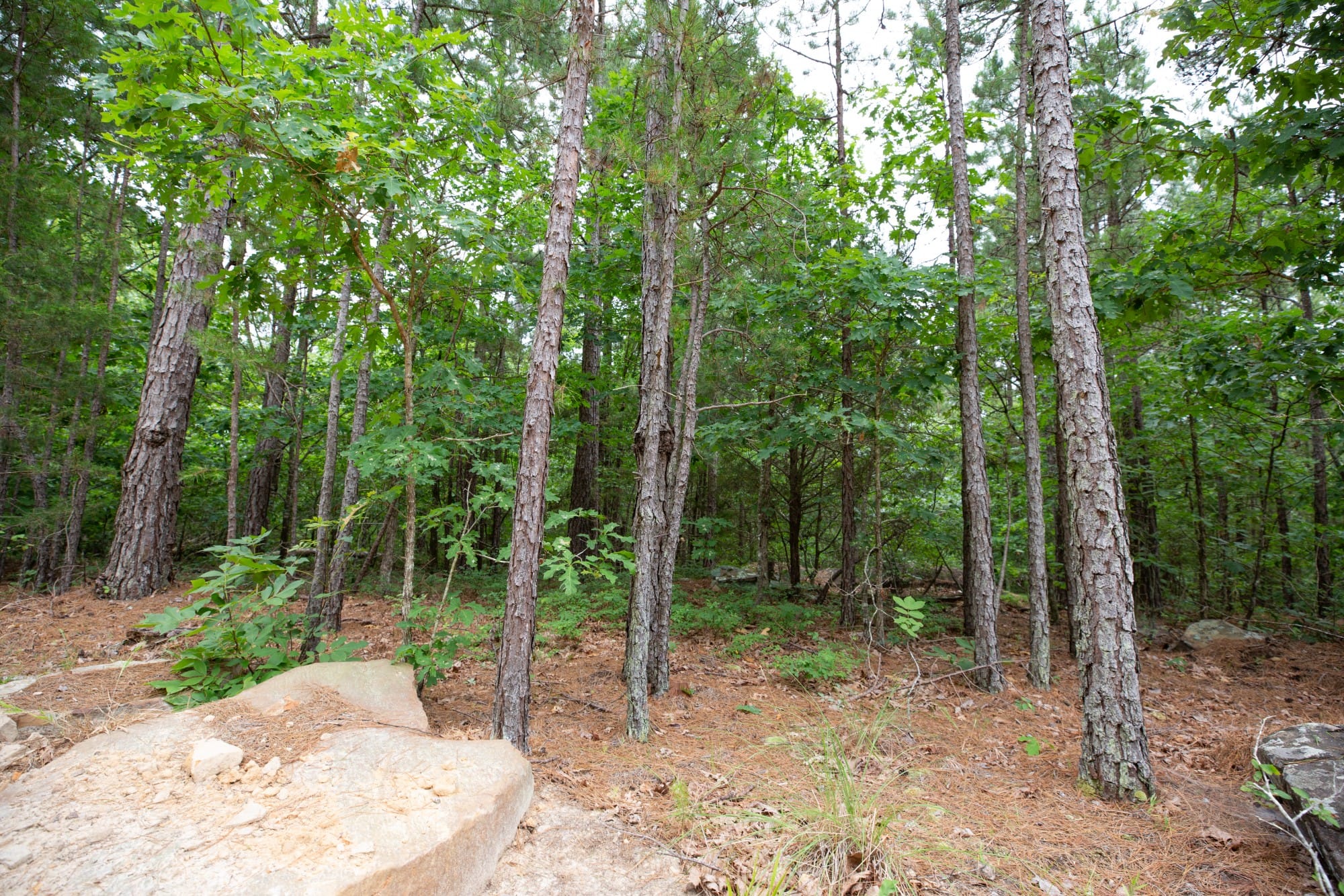 Eagle’s Nest Tract 52 photo 16