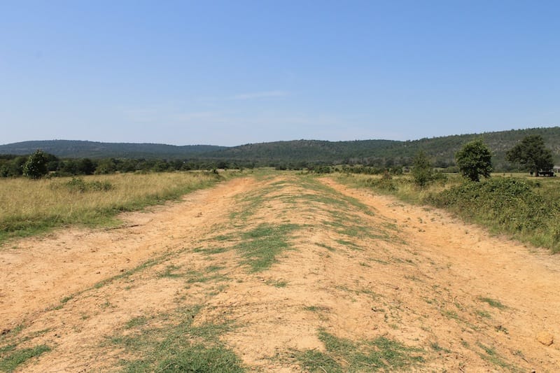 Daisy Meadows Tract 33 photo 1