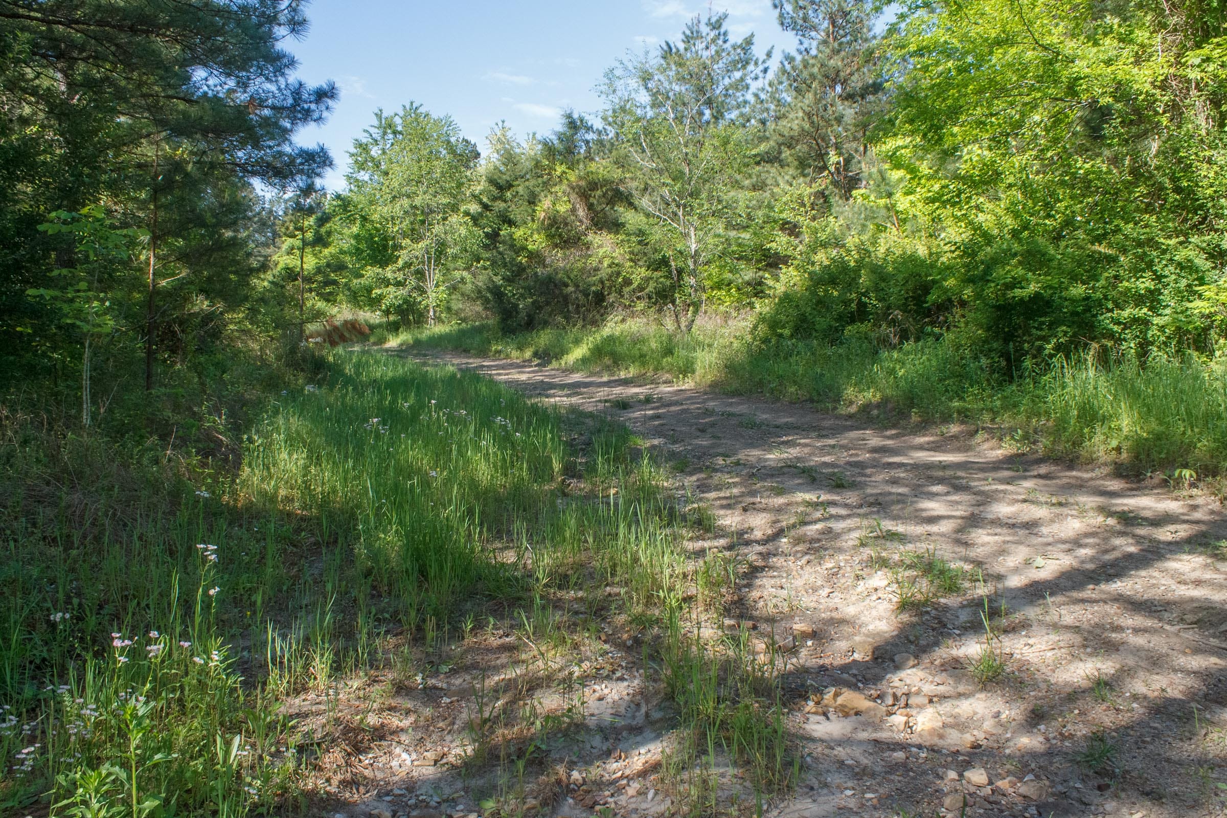Riverbend Tract 30 photo 1