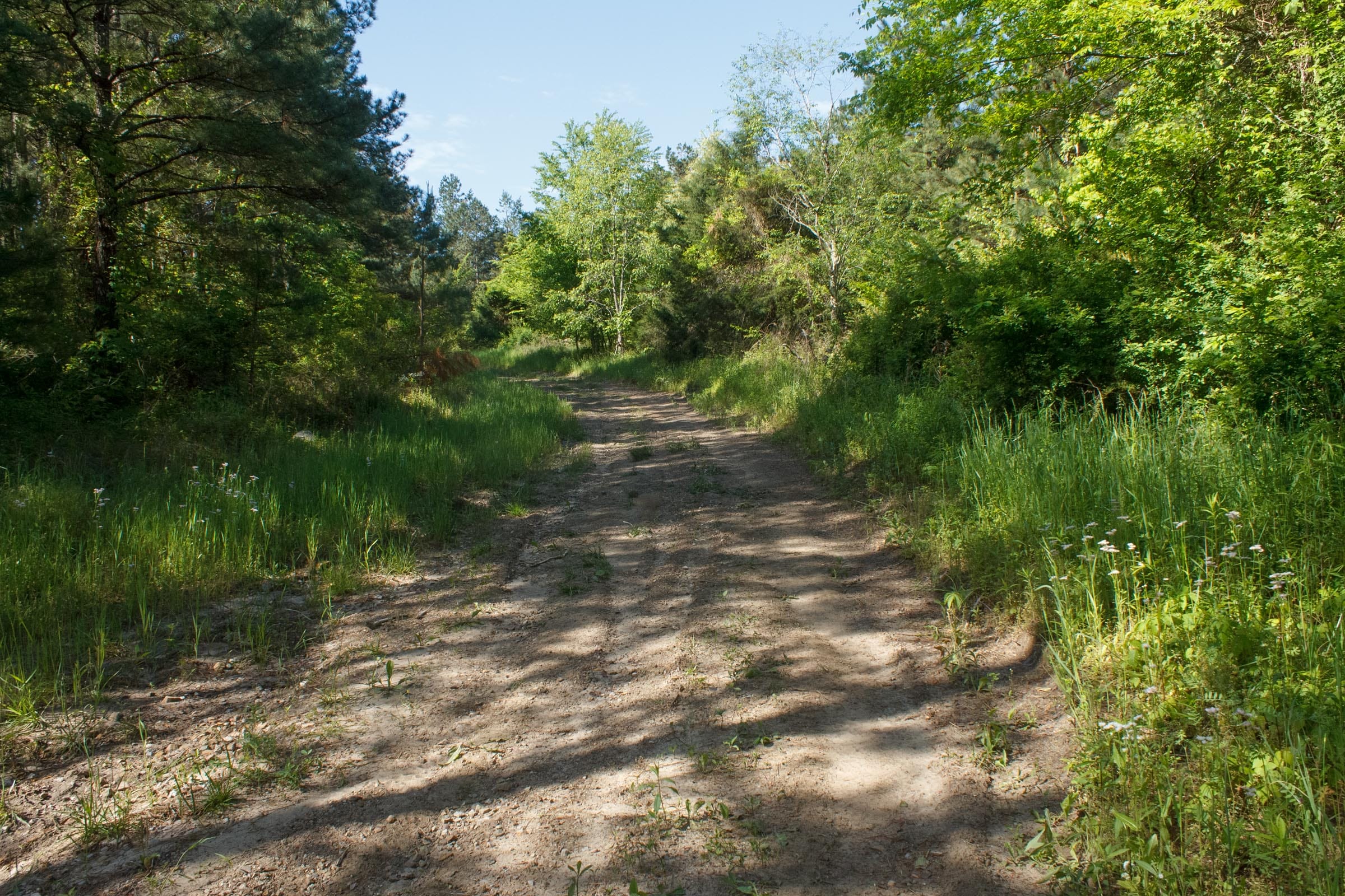 Riverbend Tract 30 photo 2