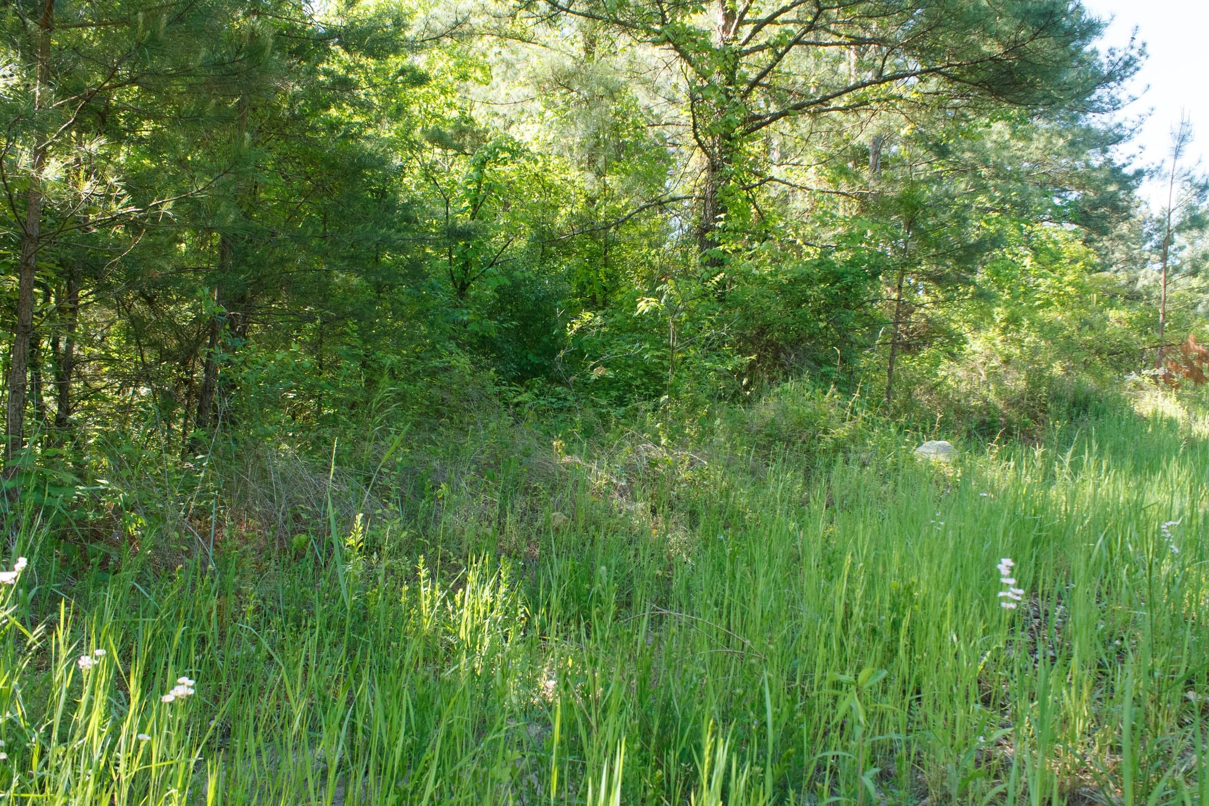 Riverbend Tract 30 photo 4