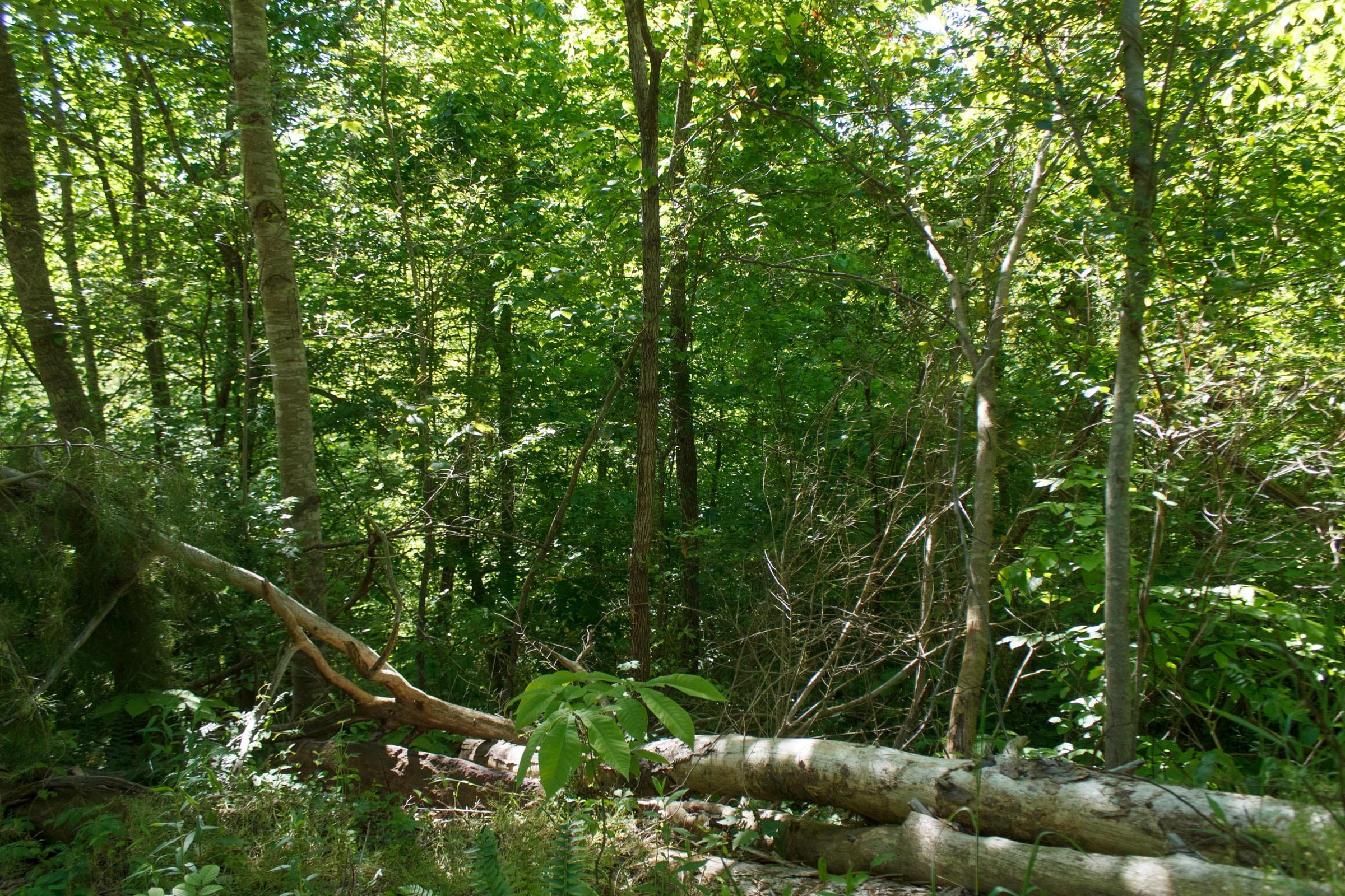 Riverbend Tract 30 photo 8