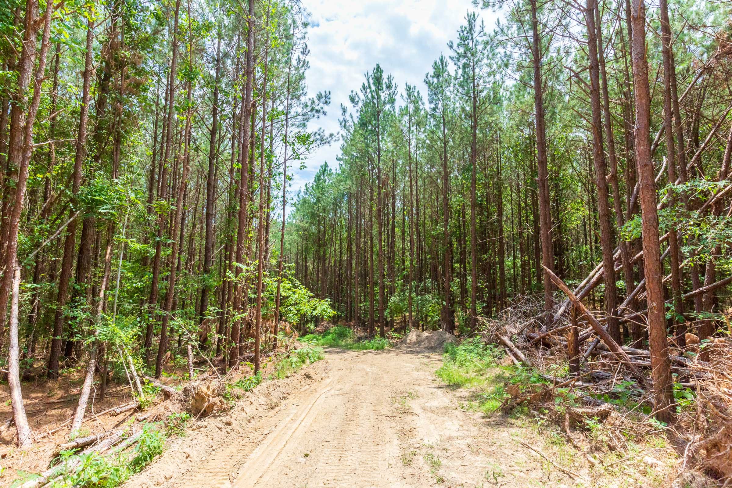 Whiskey Ridge Tract 104 photo 1