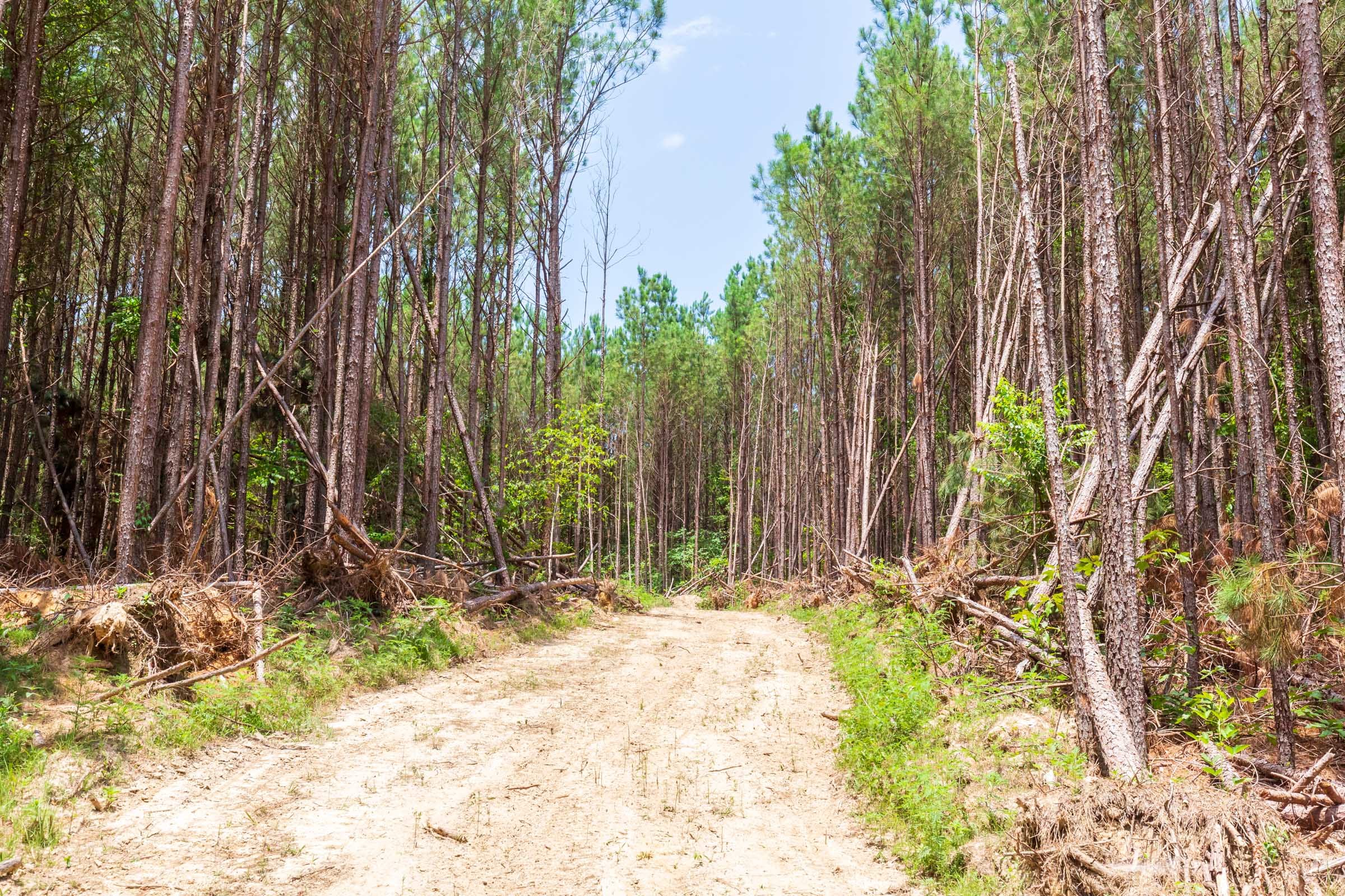 Whiskey Ridge Tract 104 photo 12