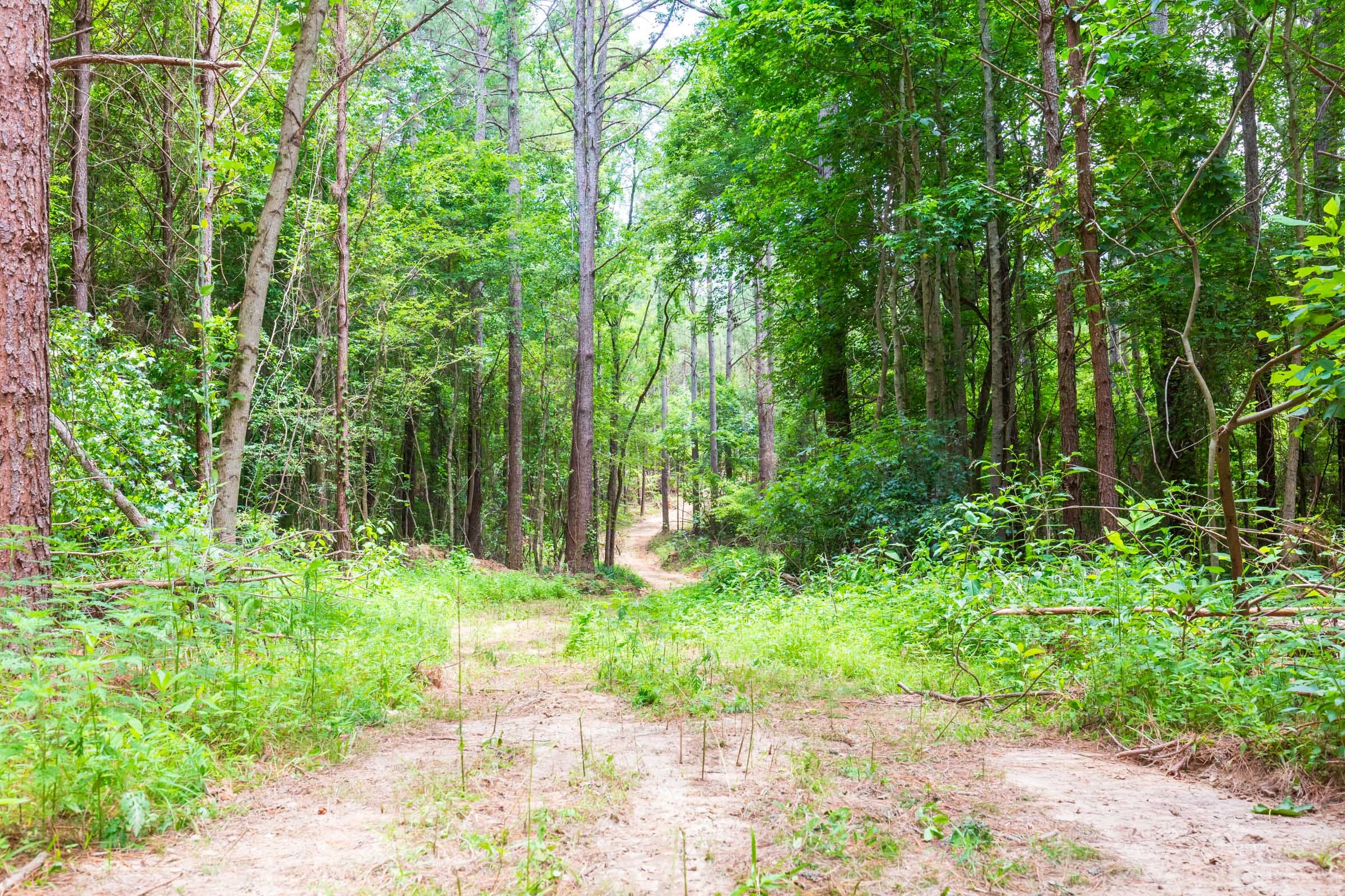 Whiskey Ridge Tract 104 photo 14