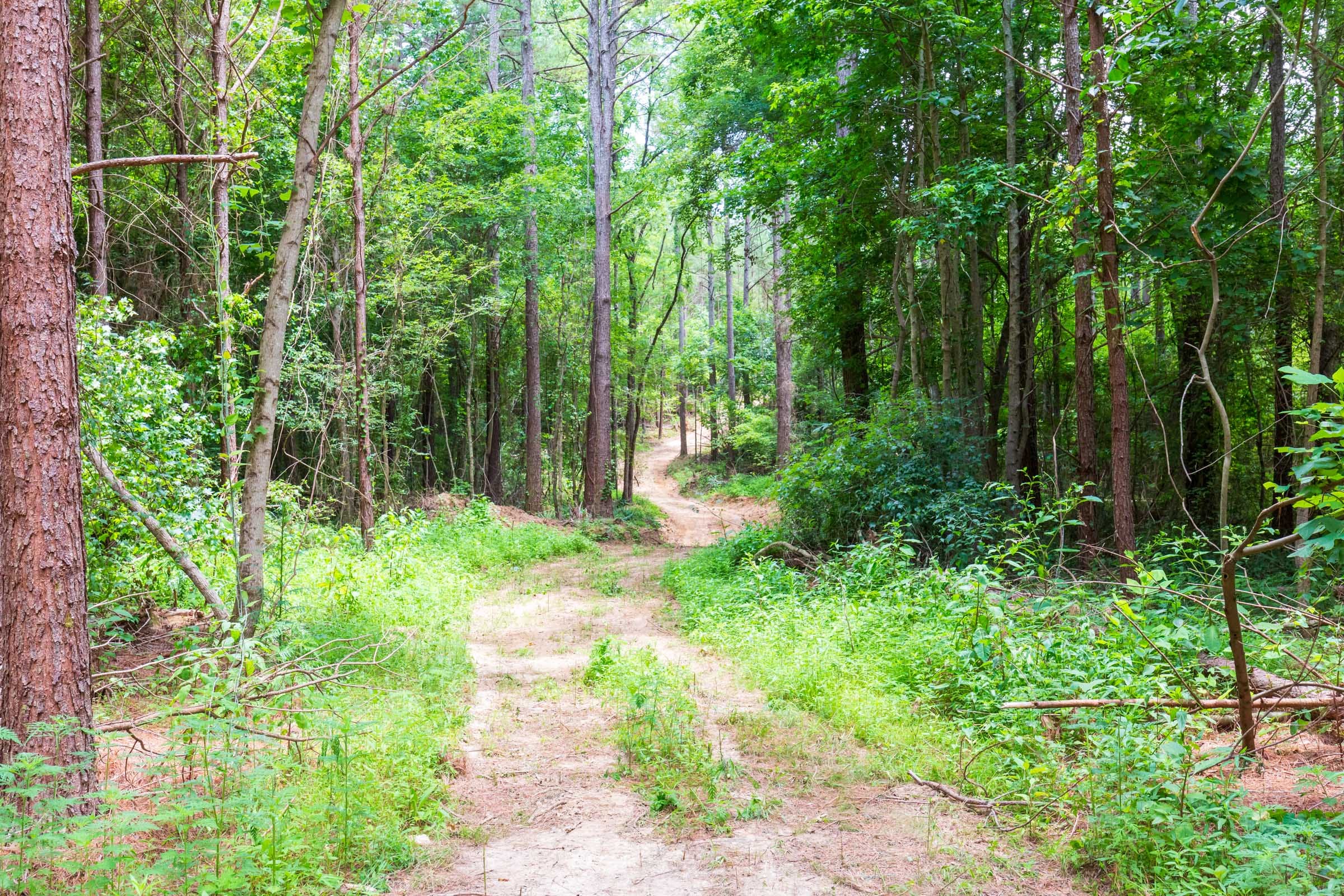 Whiskey Ridge Tract 104 photo 4