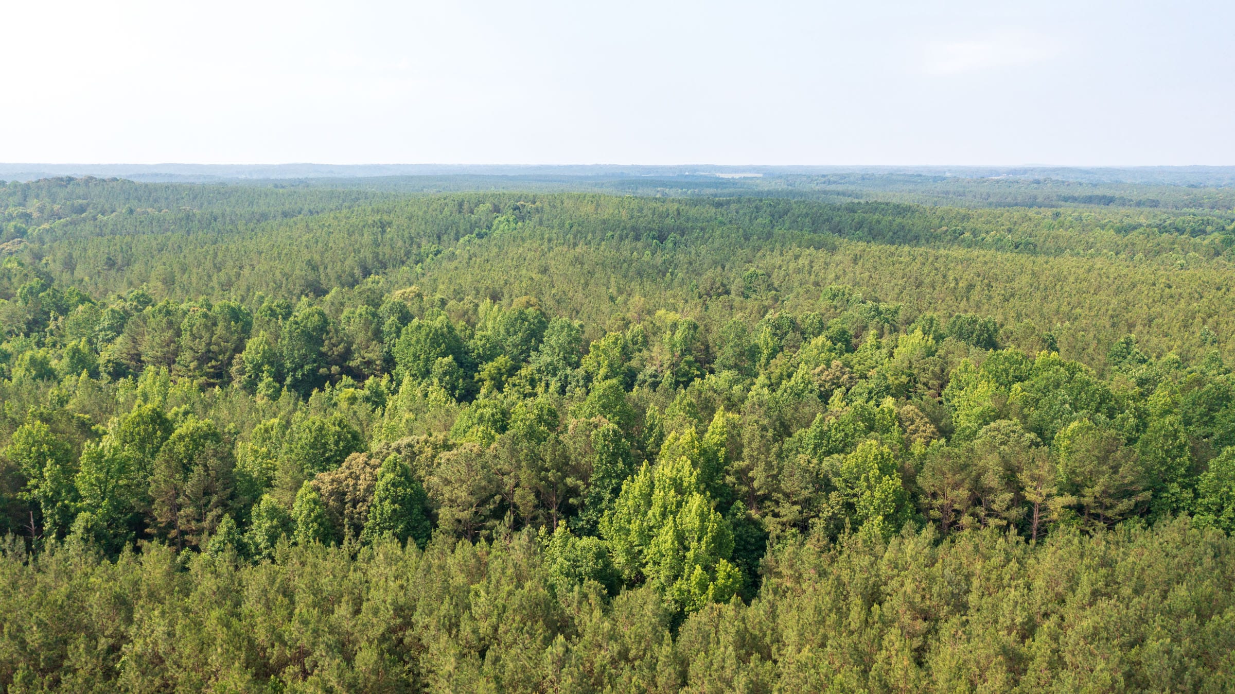 Whiskey Ridge Tract 104 photo 7
