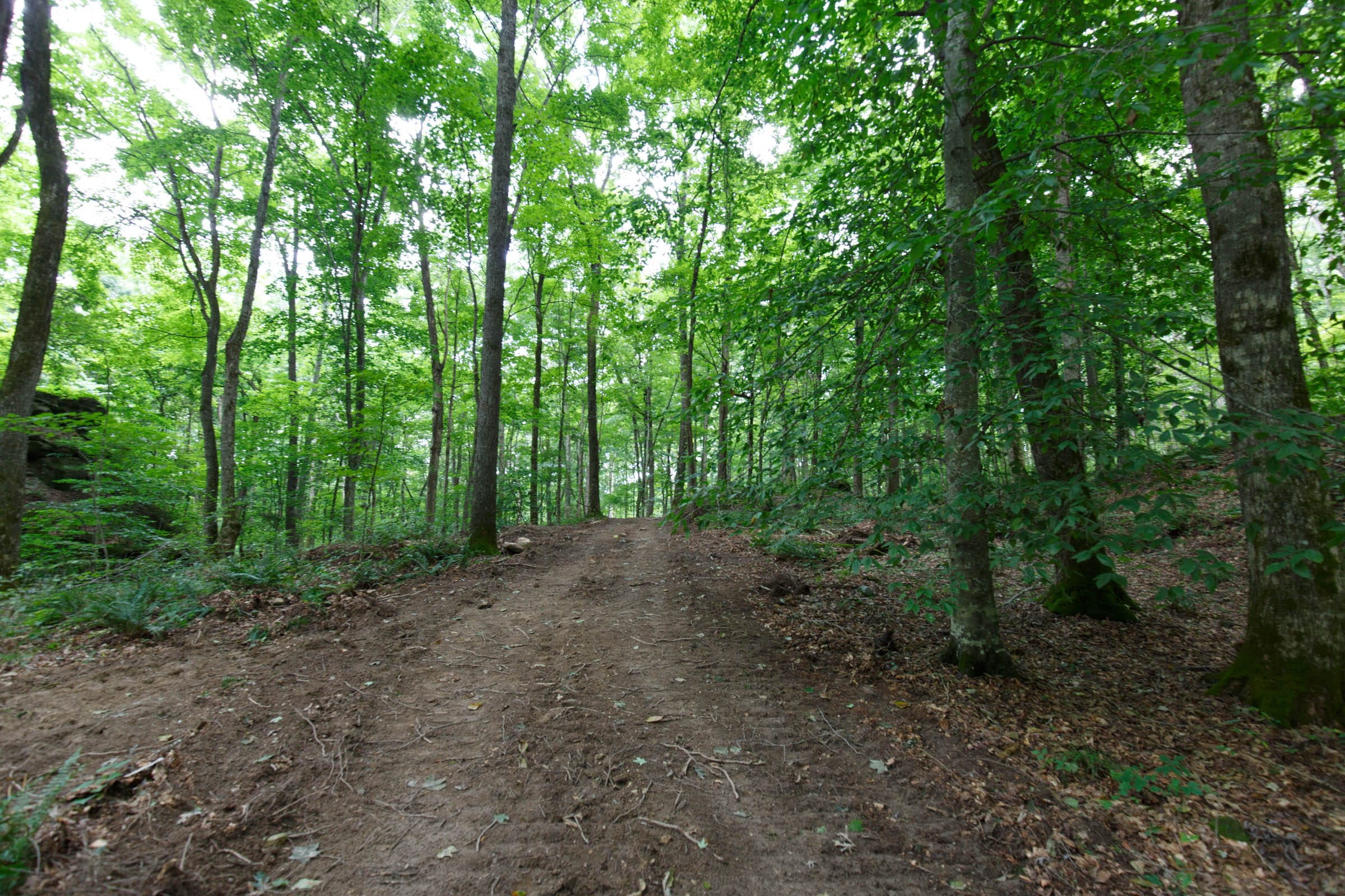Rolling Hills Tract 14 photo 5