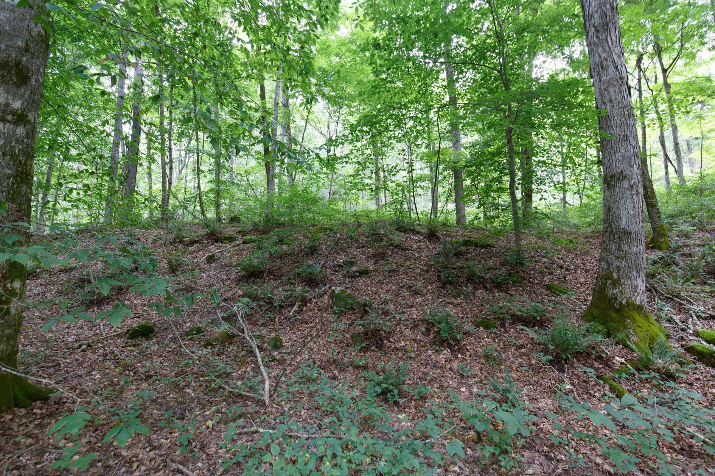 Rolling Hills Tract 14 photo 3