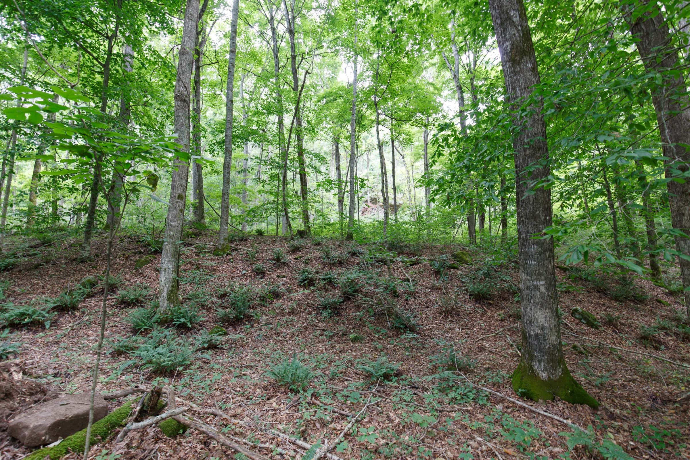 Rolling Hills Tract 14 photo 7