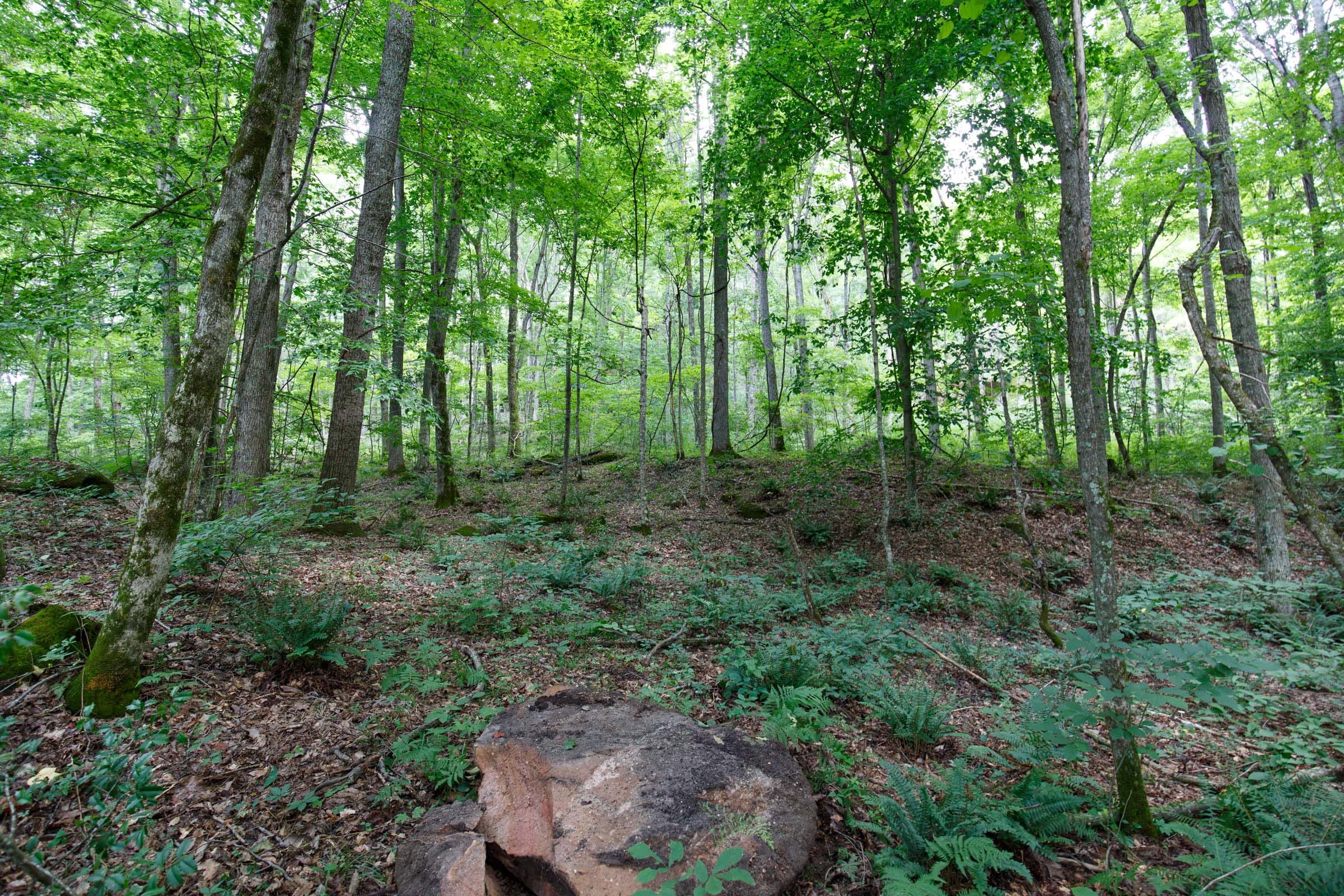 Rolling Hills Tract 14 photo 4