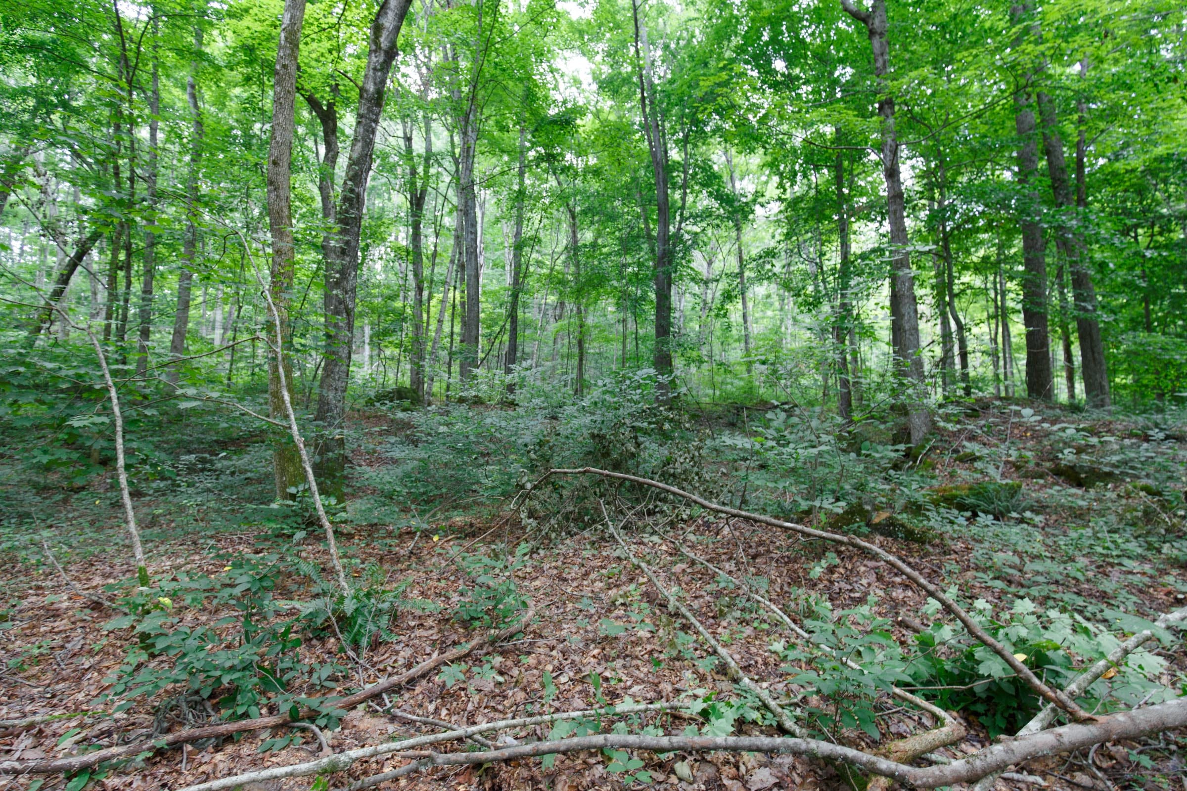 Rolling Hills Tract 14 photo 9