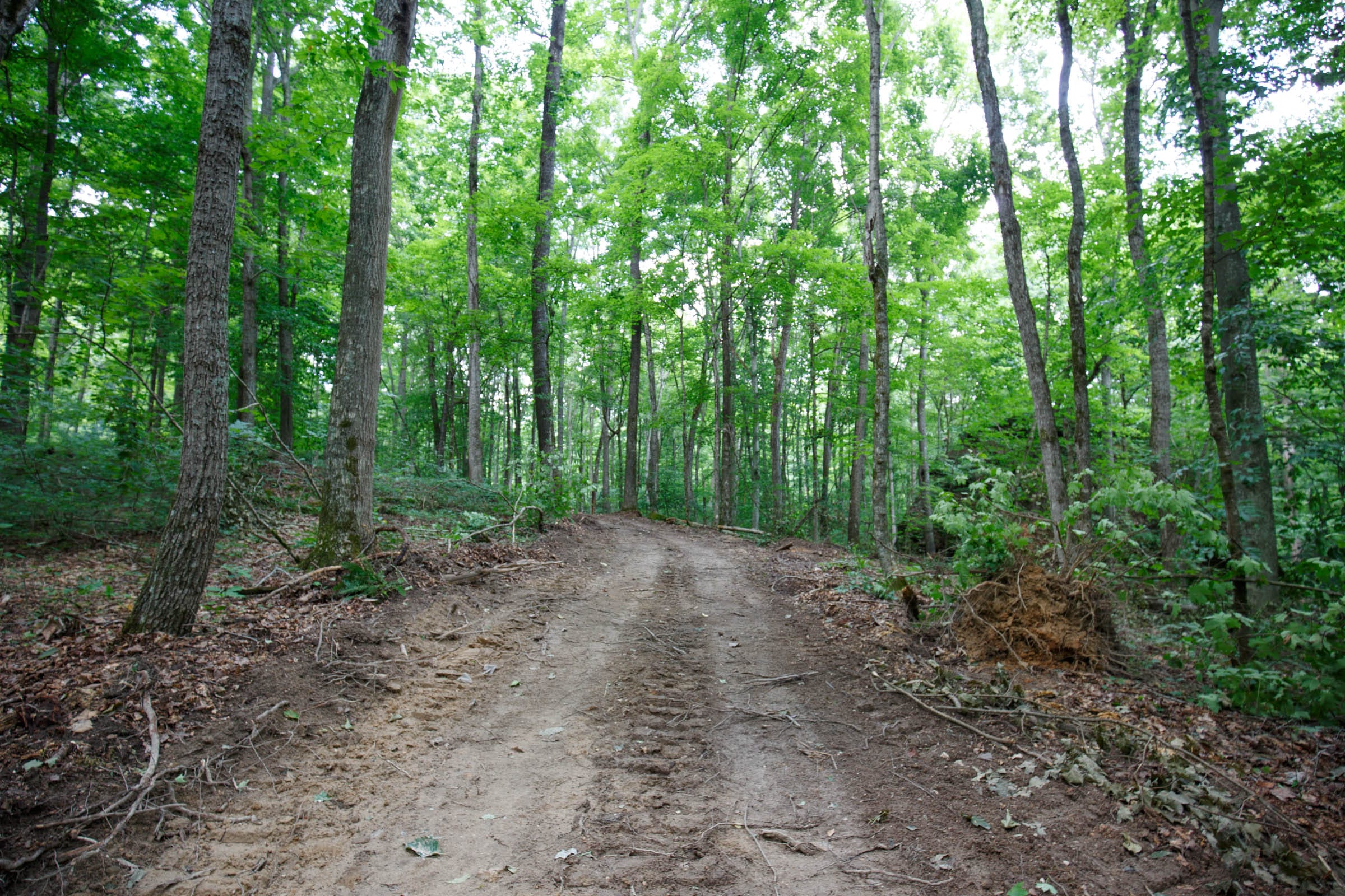 Rolling Hills Tract 14 photo 8