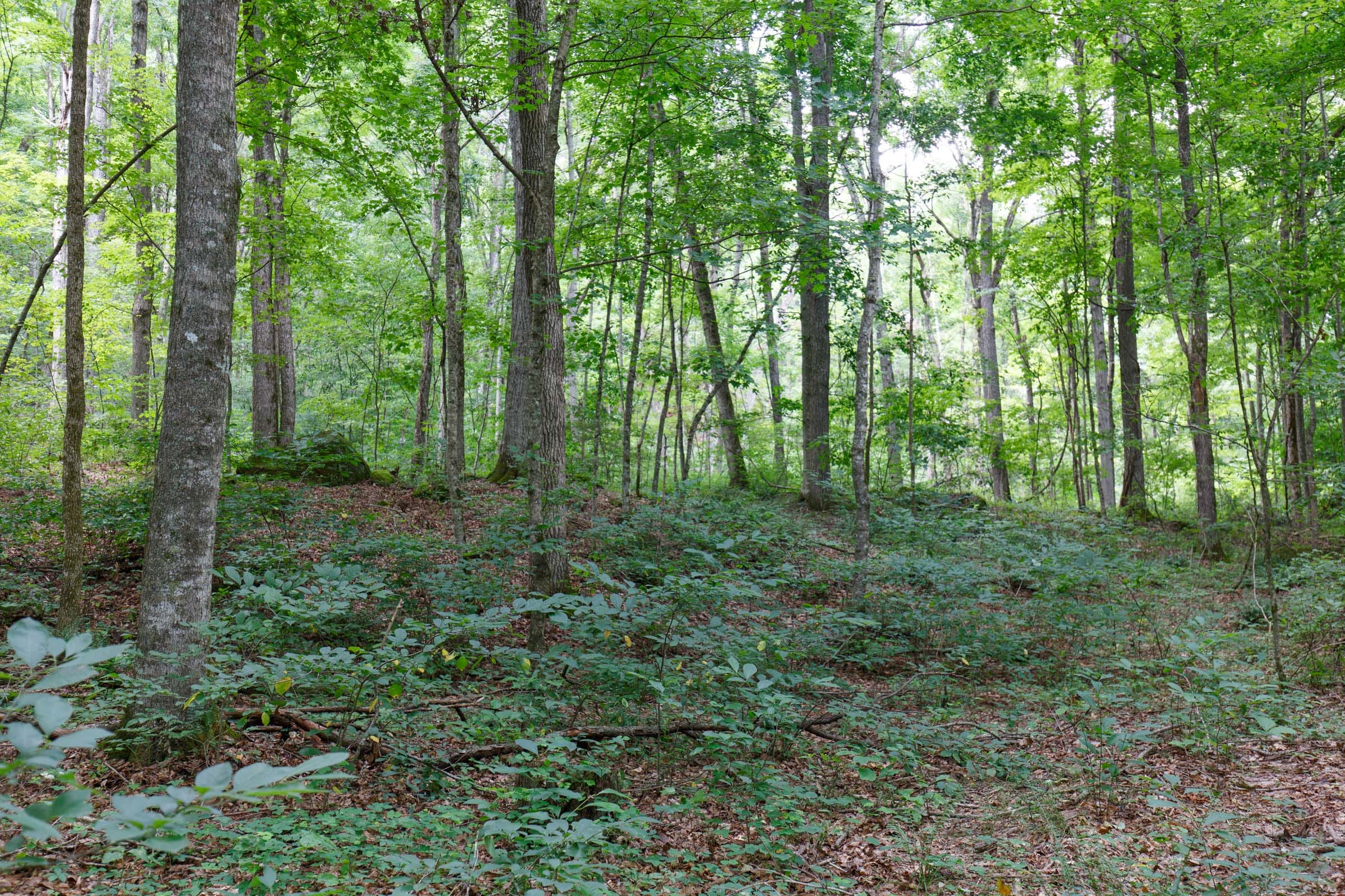 Rolling Hills Tract 14 photo 11