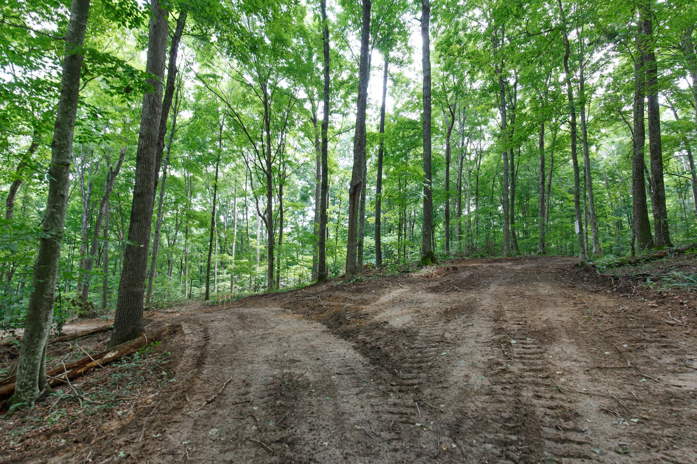 Rolling Hills Tract 14 photo 10