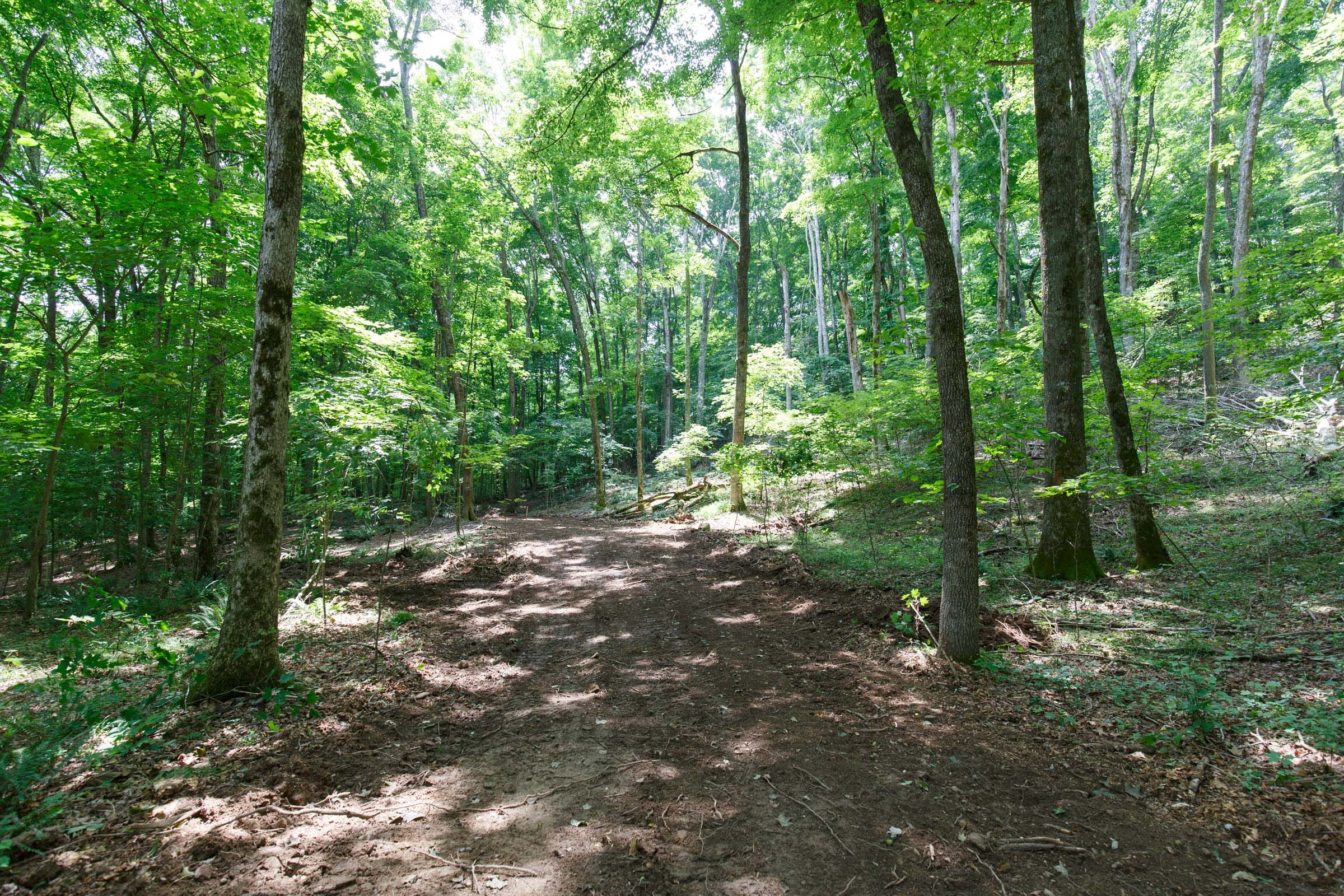 Rolling Hills Tract 14 photo 12