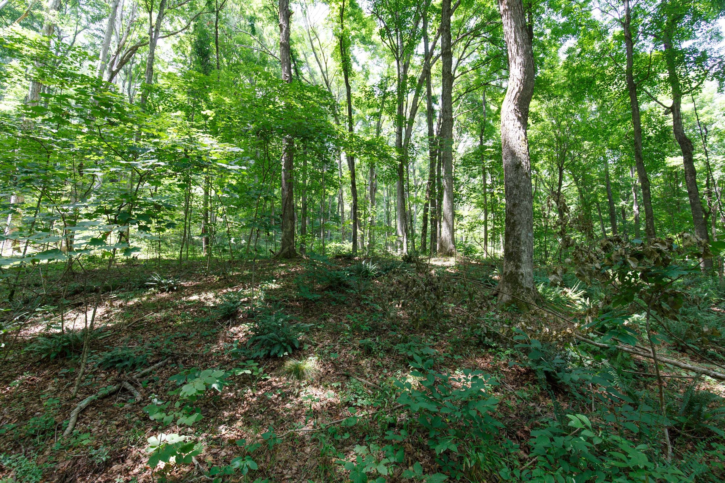 Rolling Hills Tract 14 photo 13