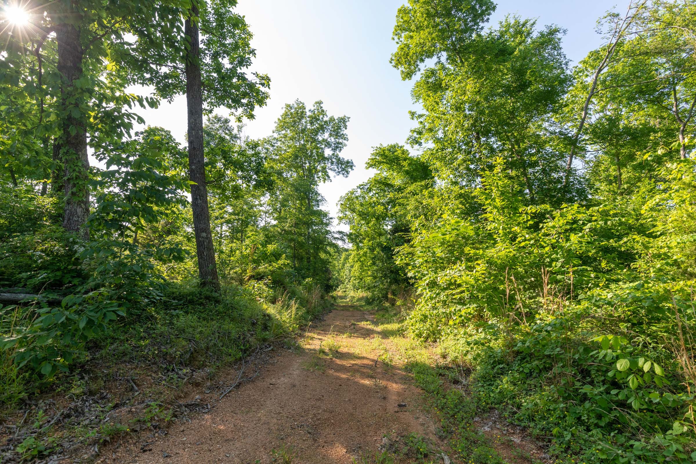 Cedar Creek Tract 57 photo 1