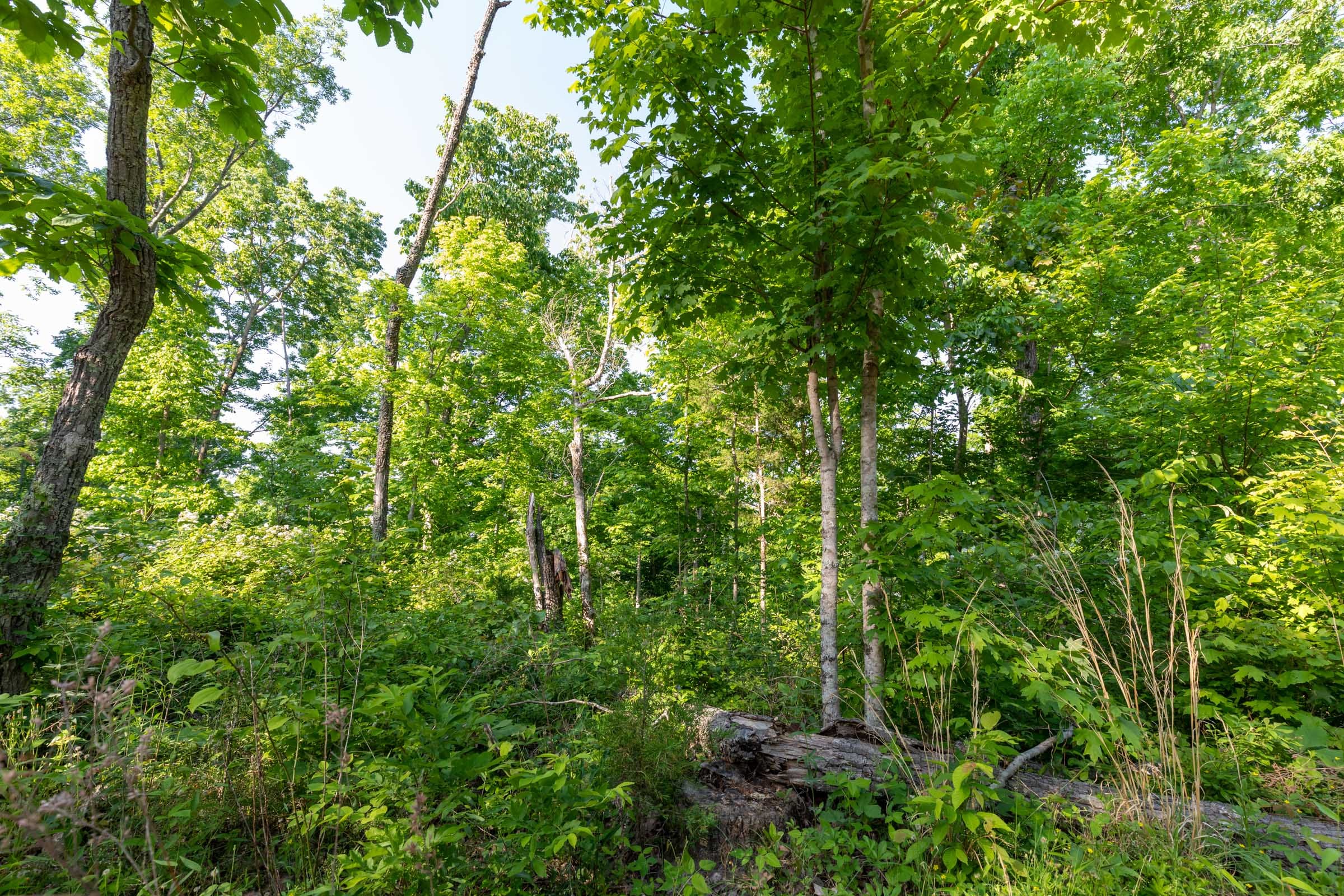 Cedar Creek Tract 57 photo 13