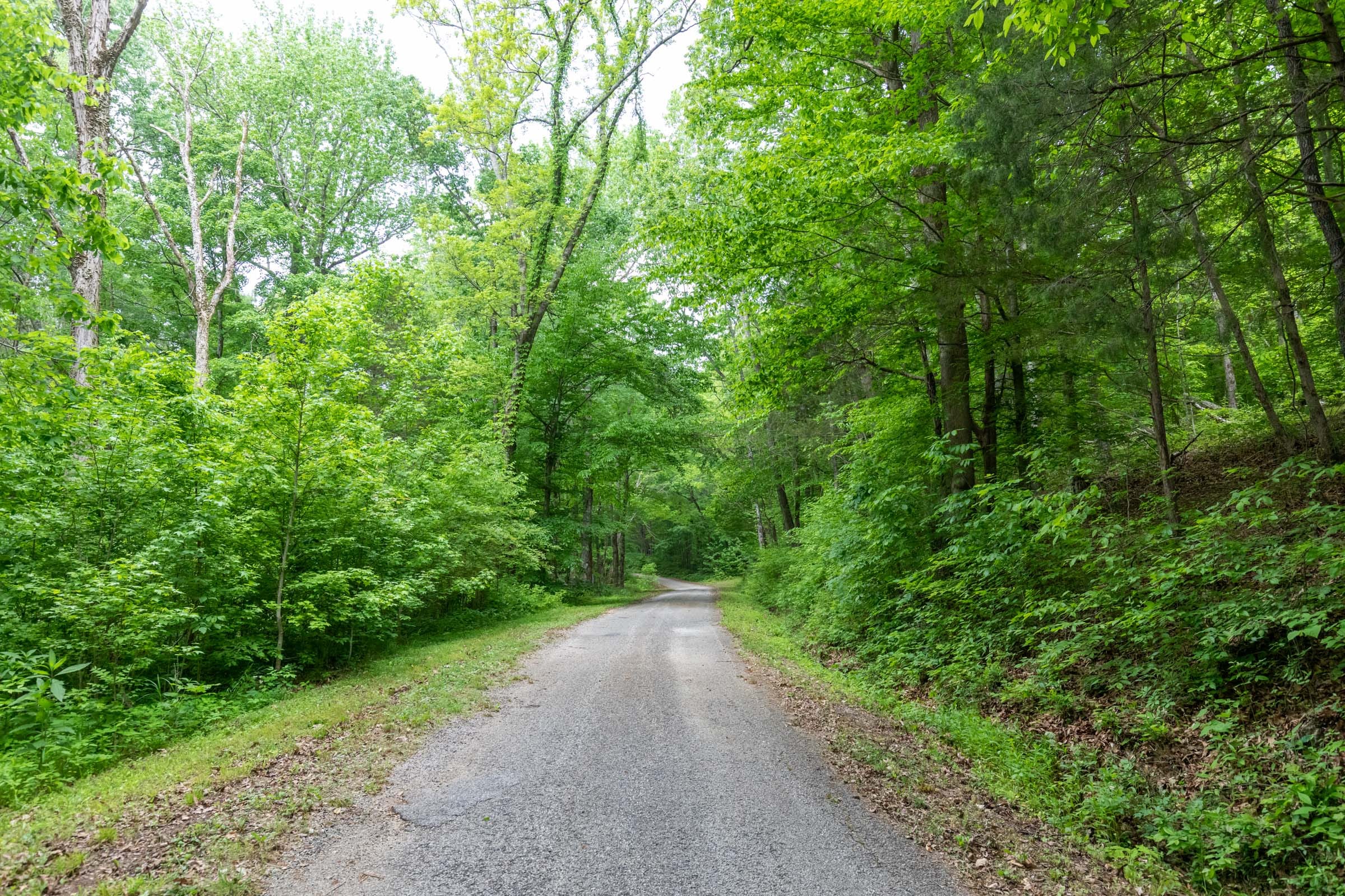 Cedar Creek Tract 39 photo 1