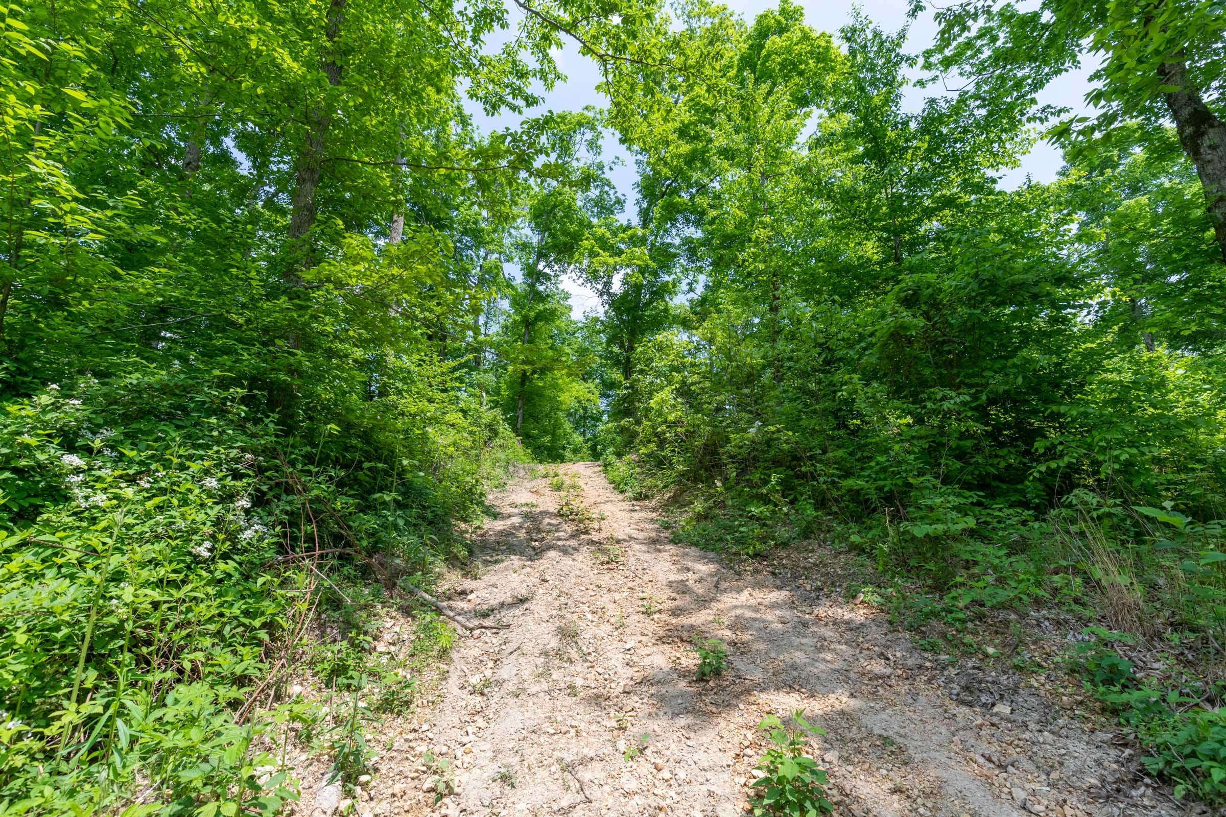 Cedar Creek Tract 39 photo 10