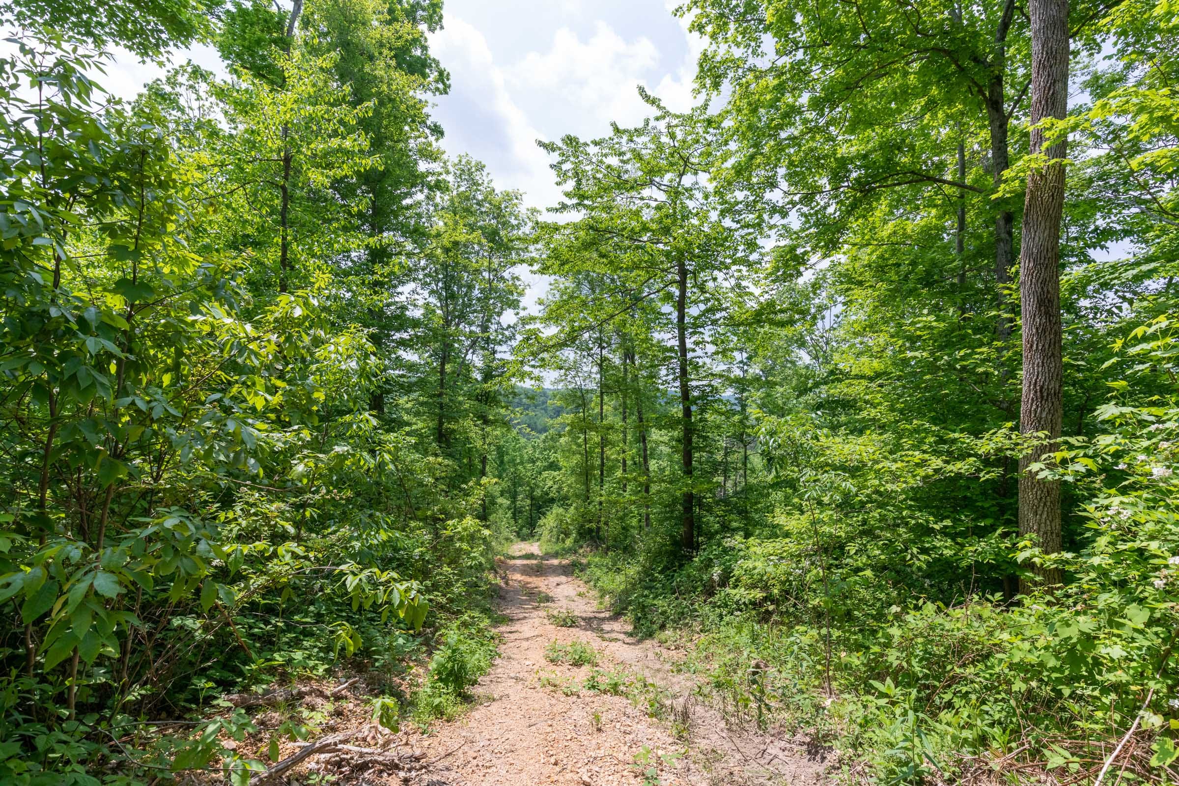 Cedar Creek Tract 39 photo 4