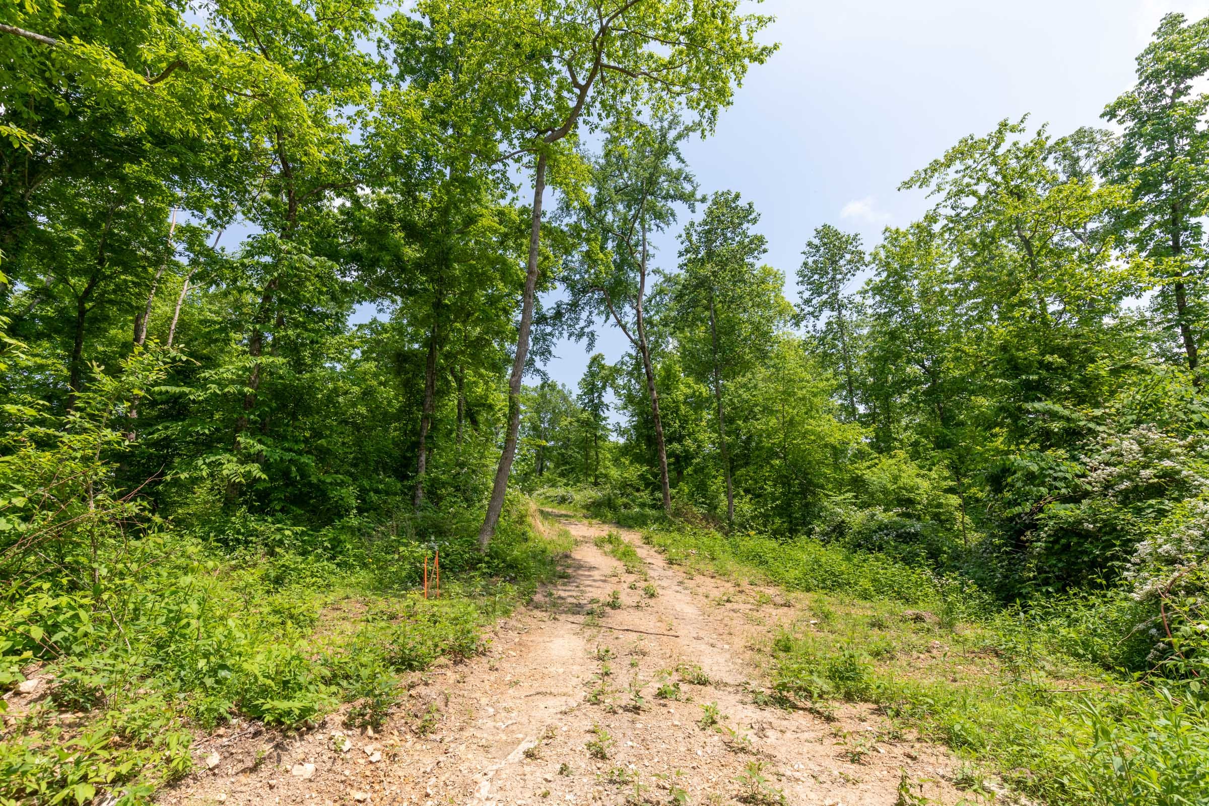 Cedar Creek Tract 39 photo 13
