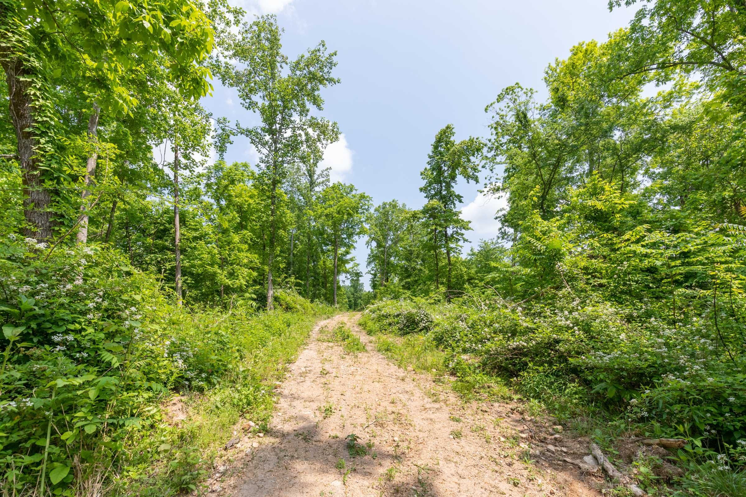 Cedar Creek Tract 39 photo 7