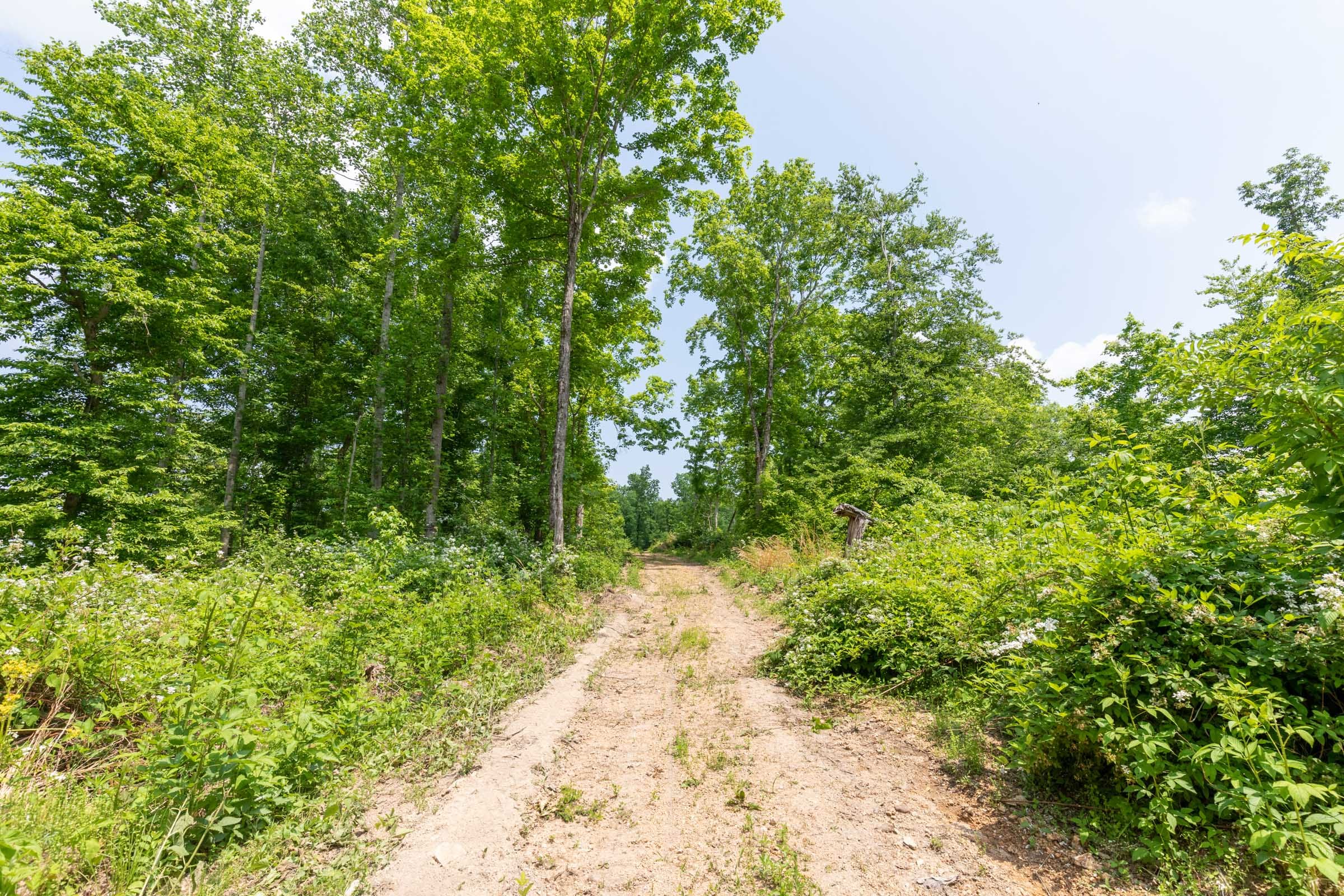 Cedar Creek Tract 39 photo 16
