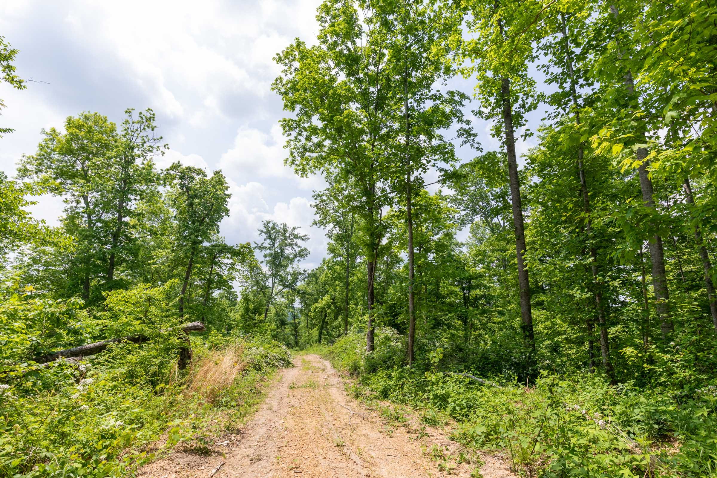 Cedar Creek Tract 39 photo 18