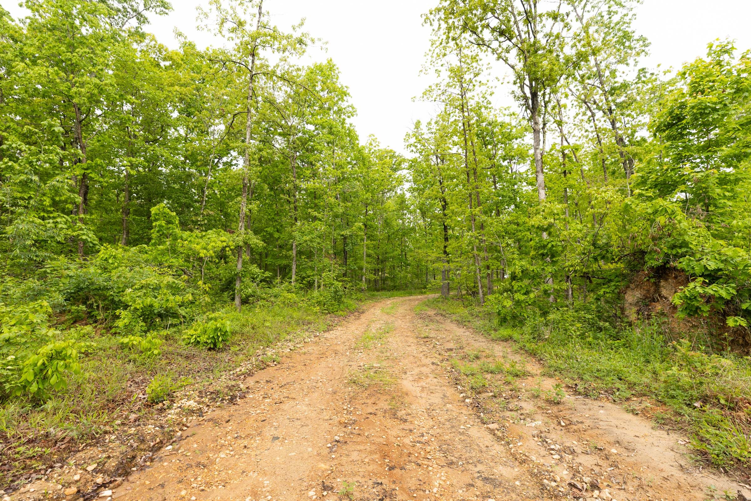 Stardust Estates Tract 33 photo 2