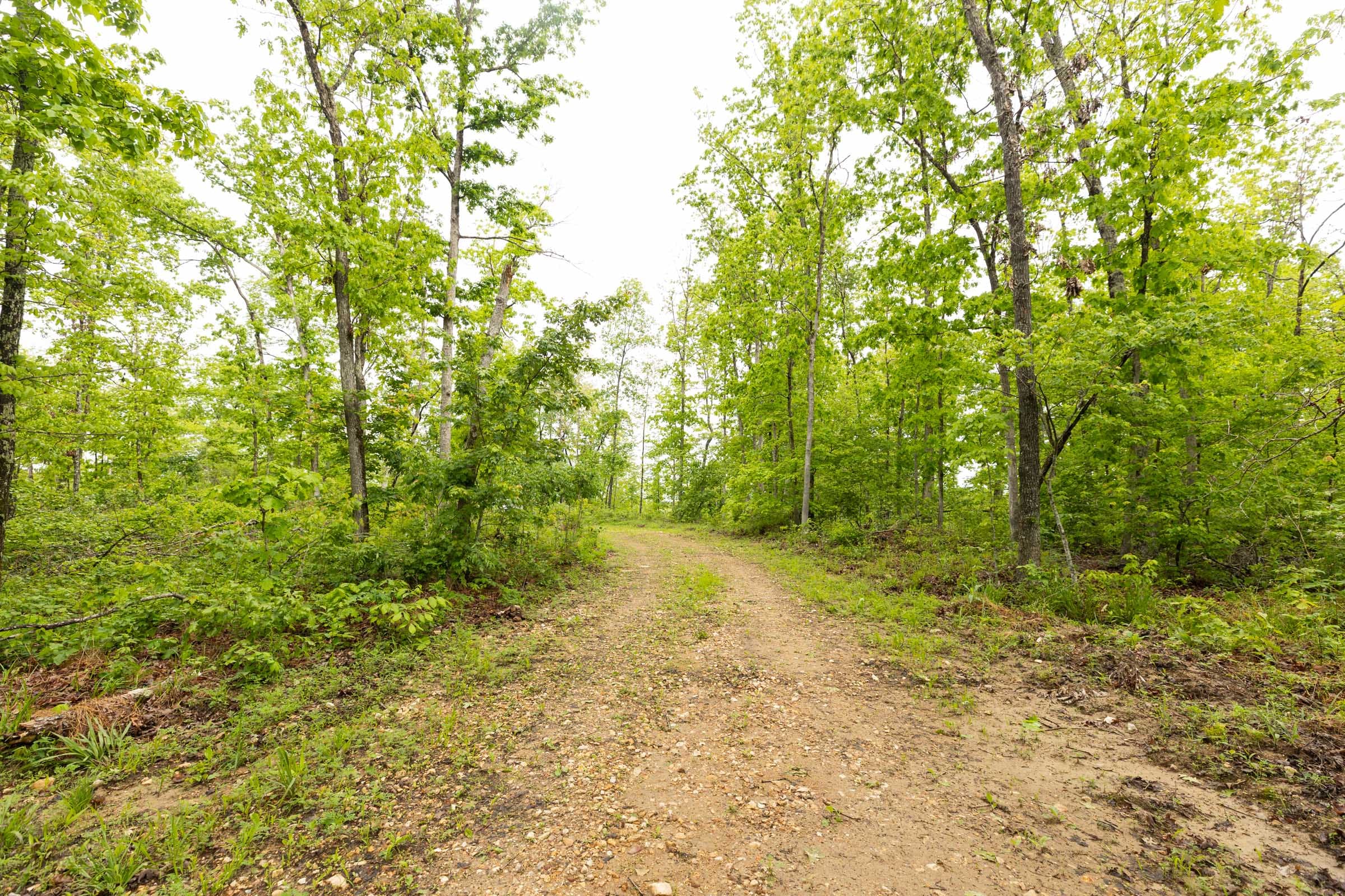 Stardust Estates Tract 33 photo 8