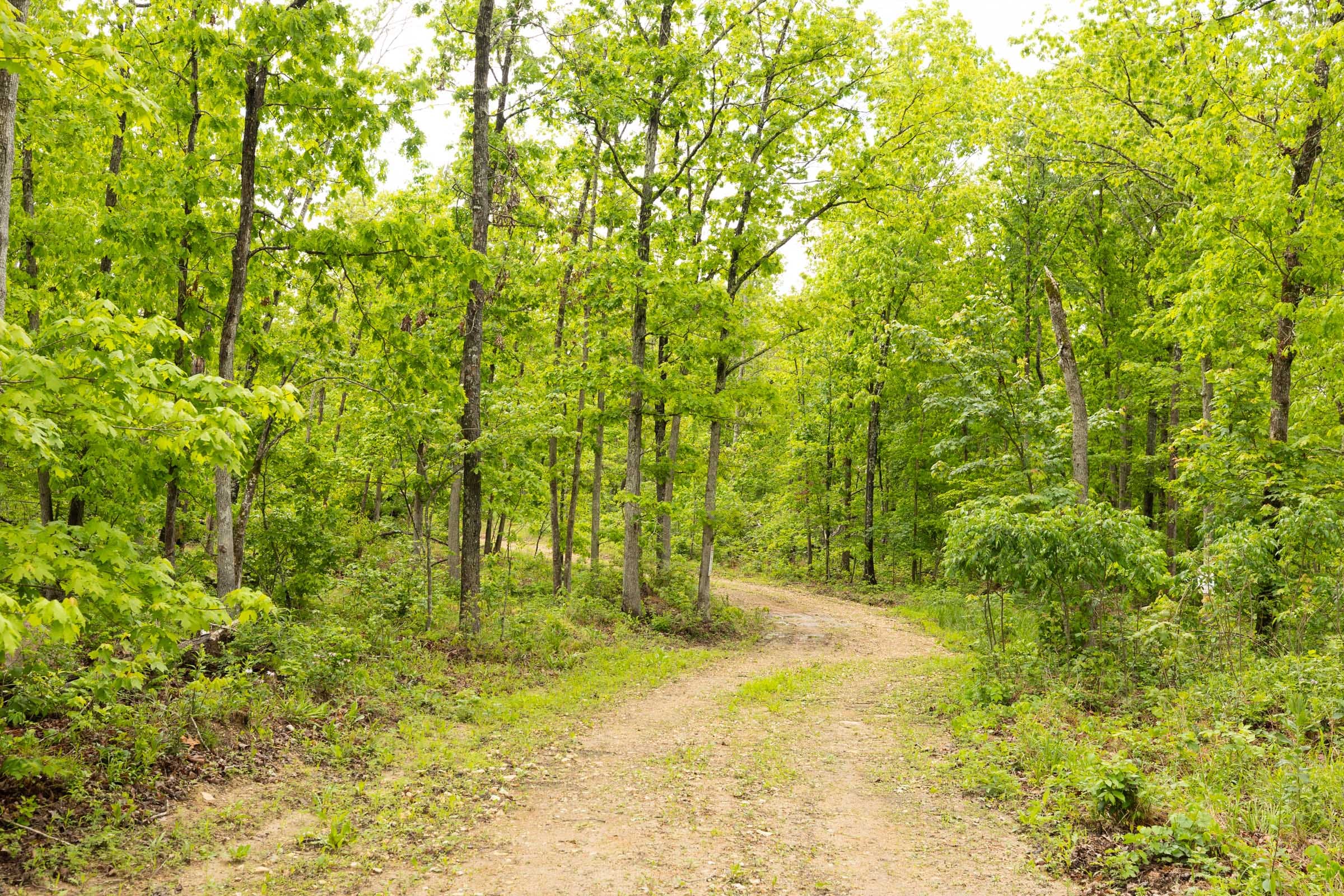 Stardust Estates Tract 33 photo 5