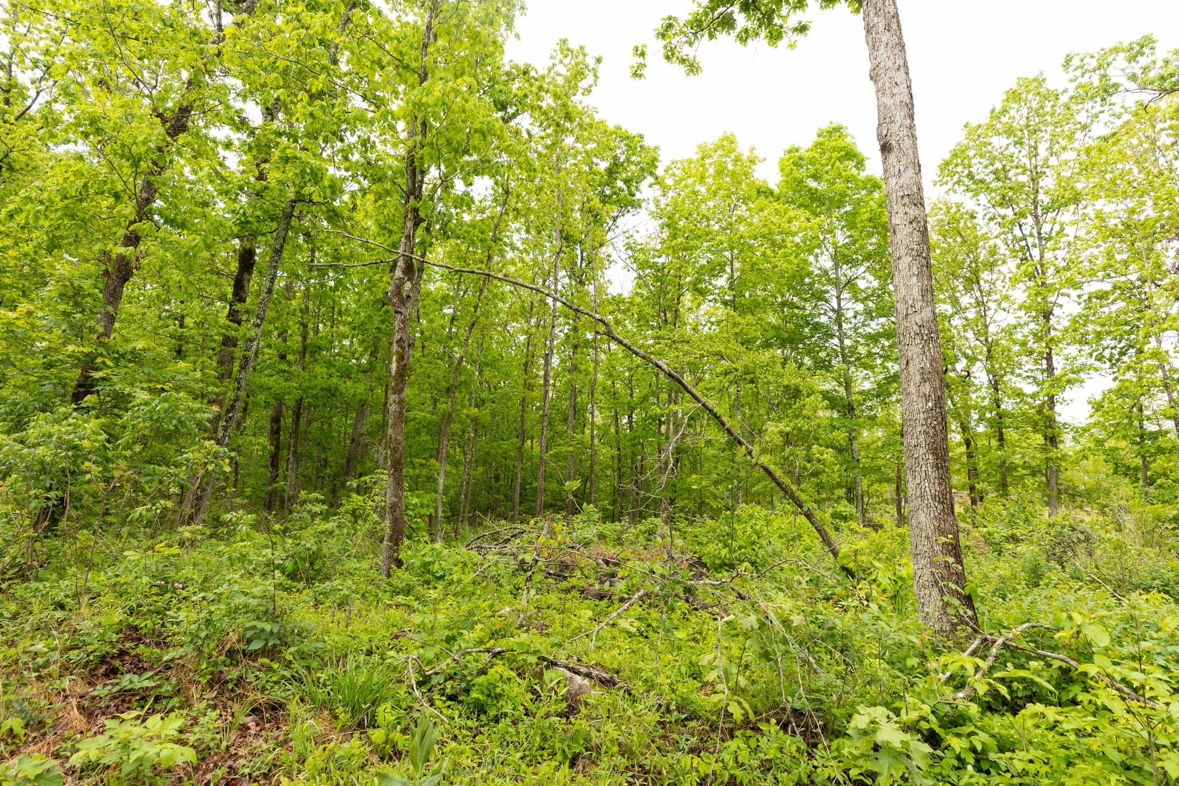 Stardust Estates Tract 33 photo 4