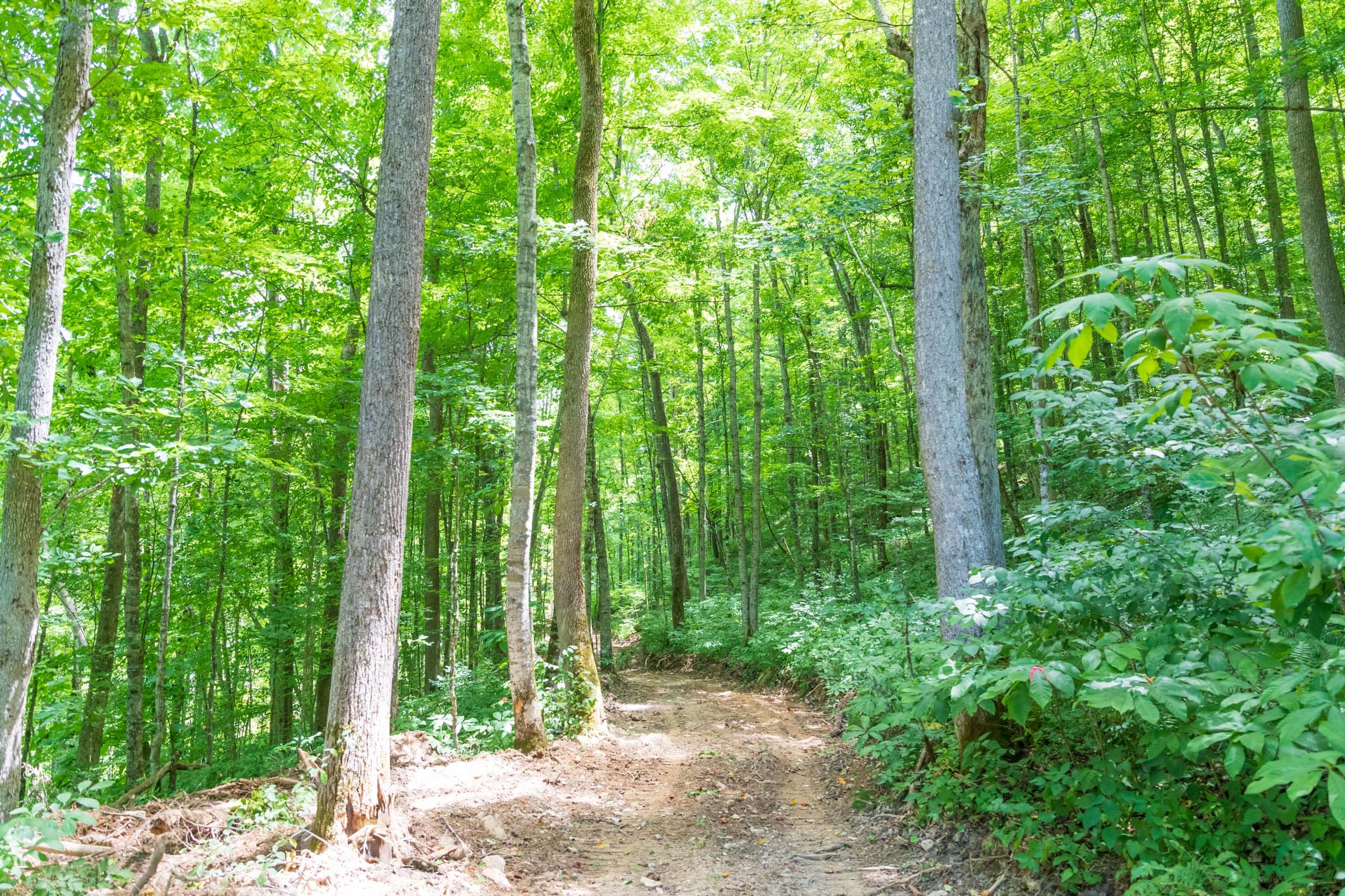 River’s Edge Tract 19 photo 1