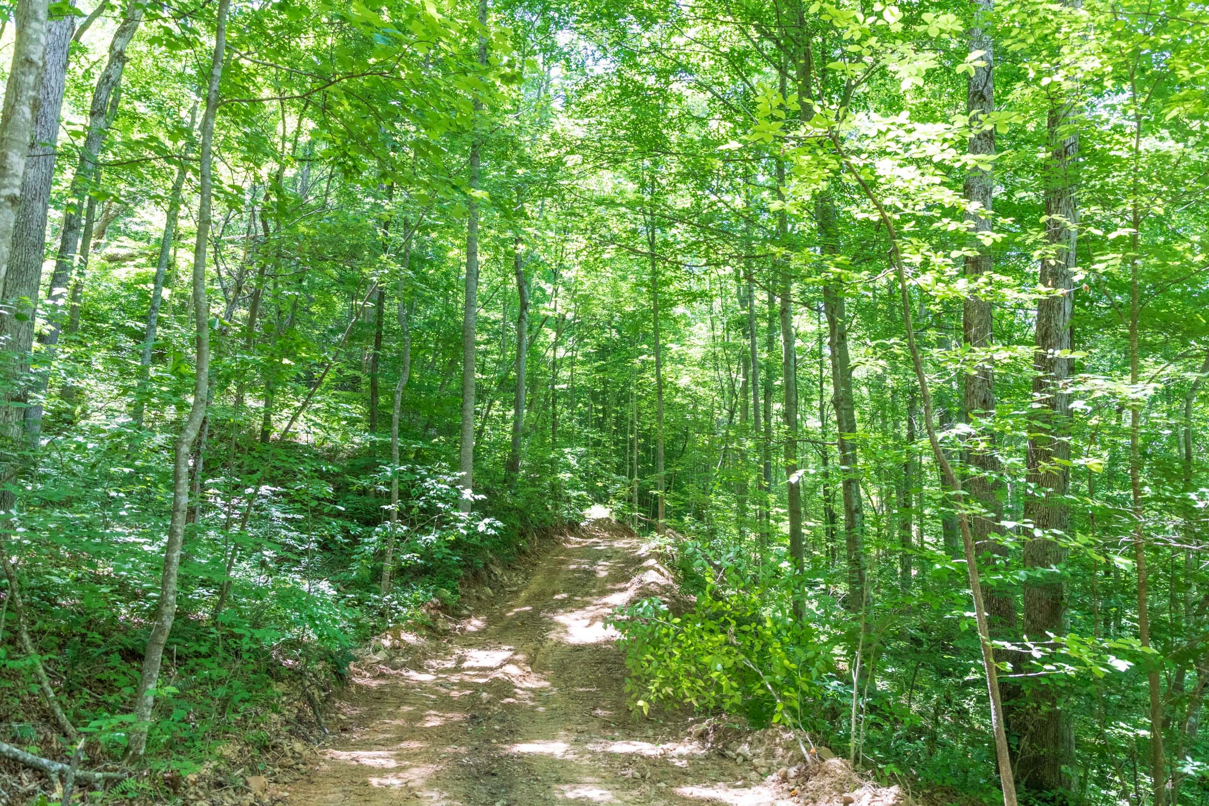 River’s Edge Tract 19 photo 5