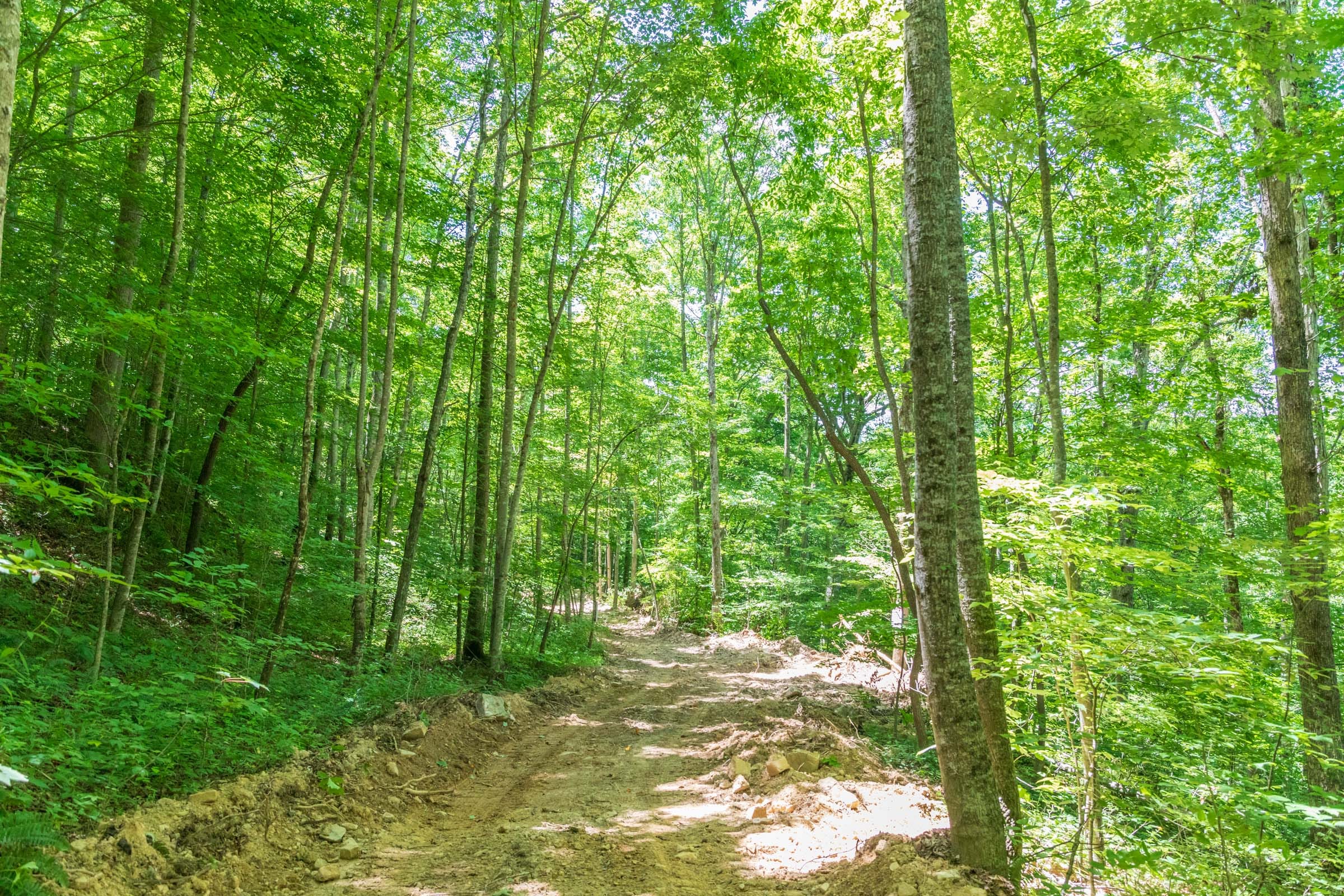 River’s Edge Tract 19 photo 7