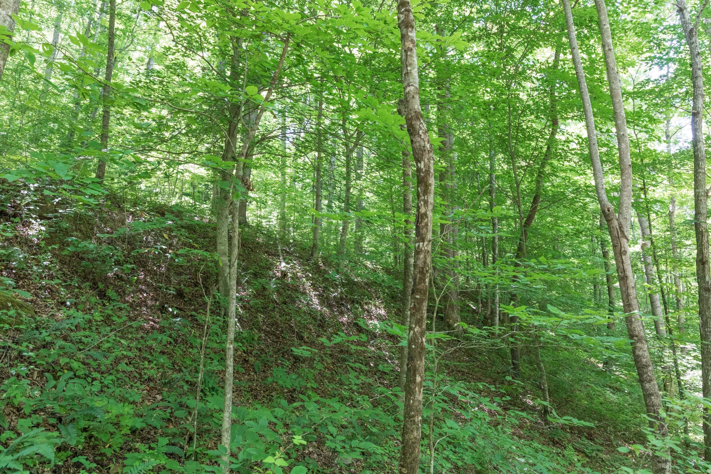 River’s Edge Tract 19 photo 8