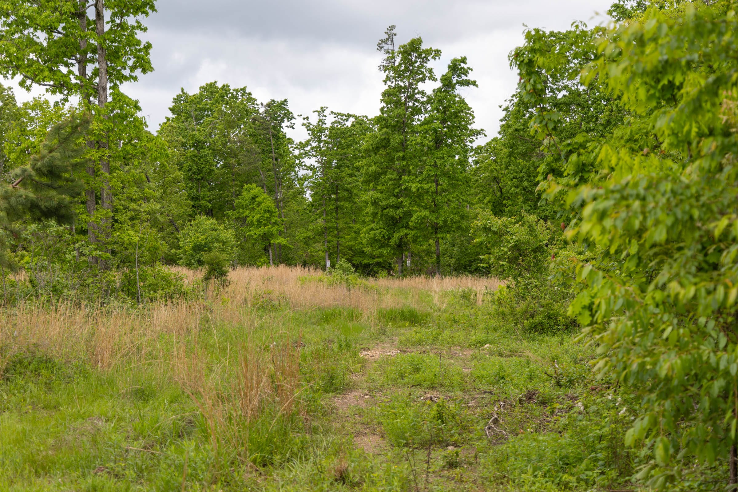 Sleepy Hollow Phase II Tract 70 photo 1