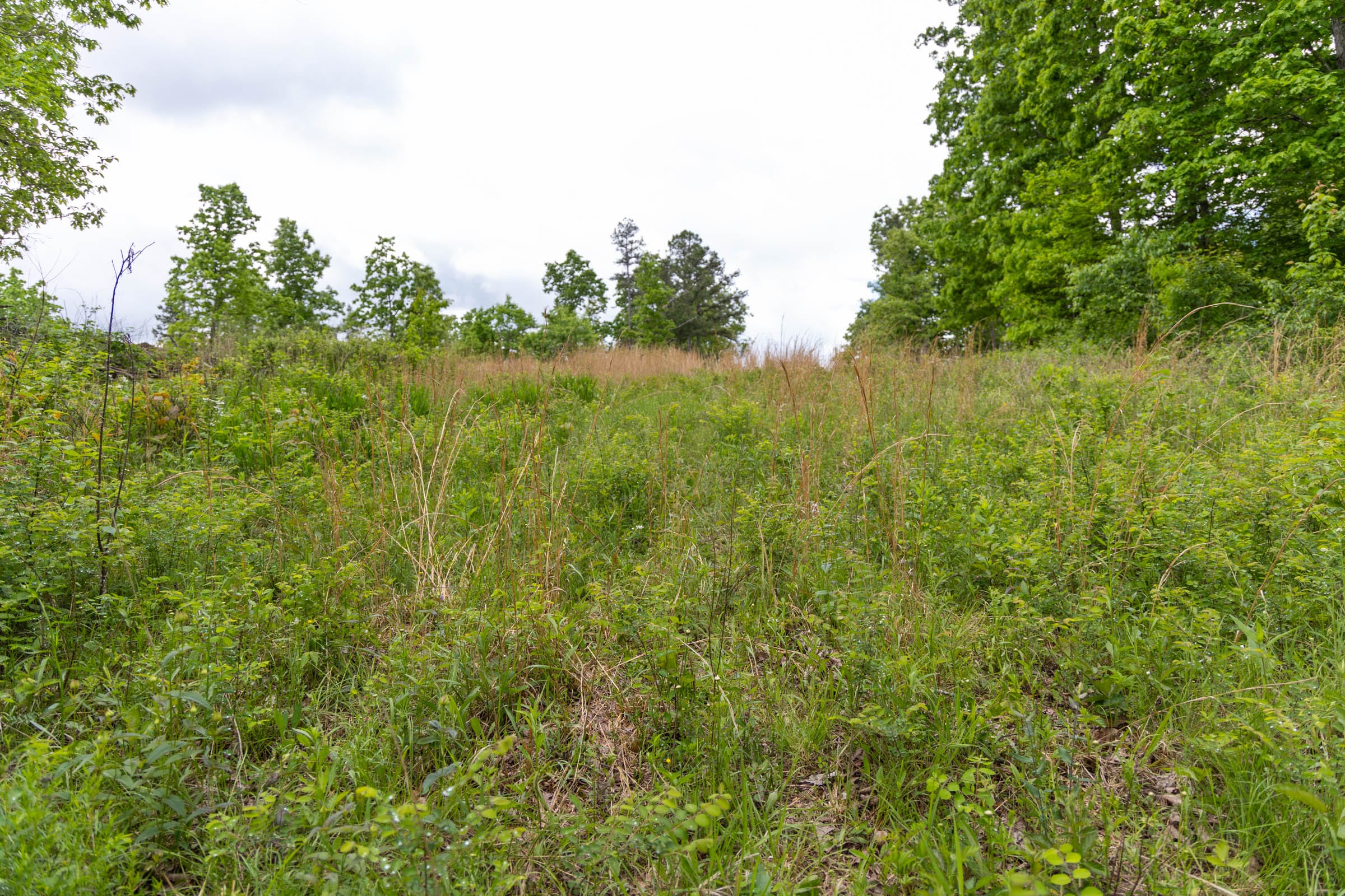 Sleepy Hollow Phase II Tract 70 photo 10