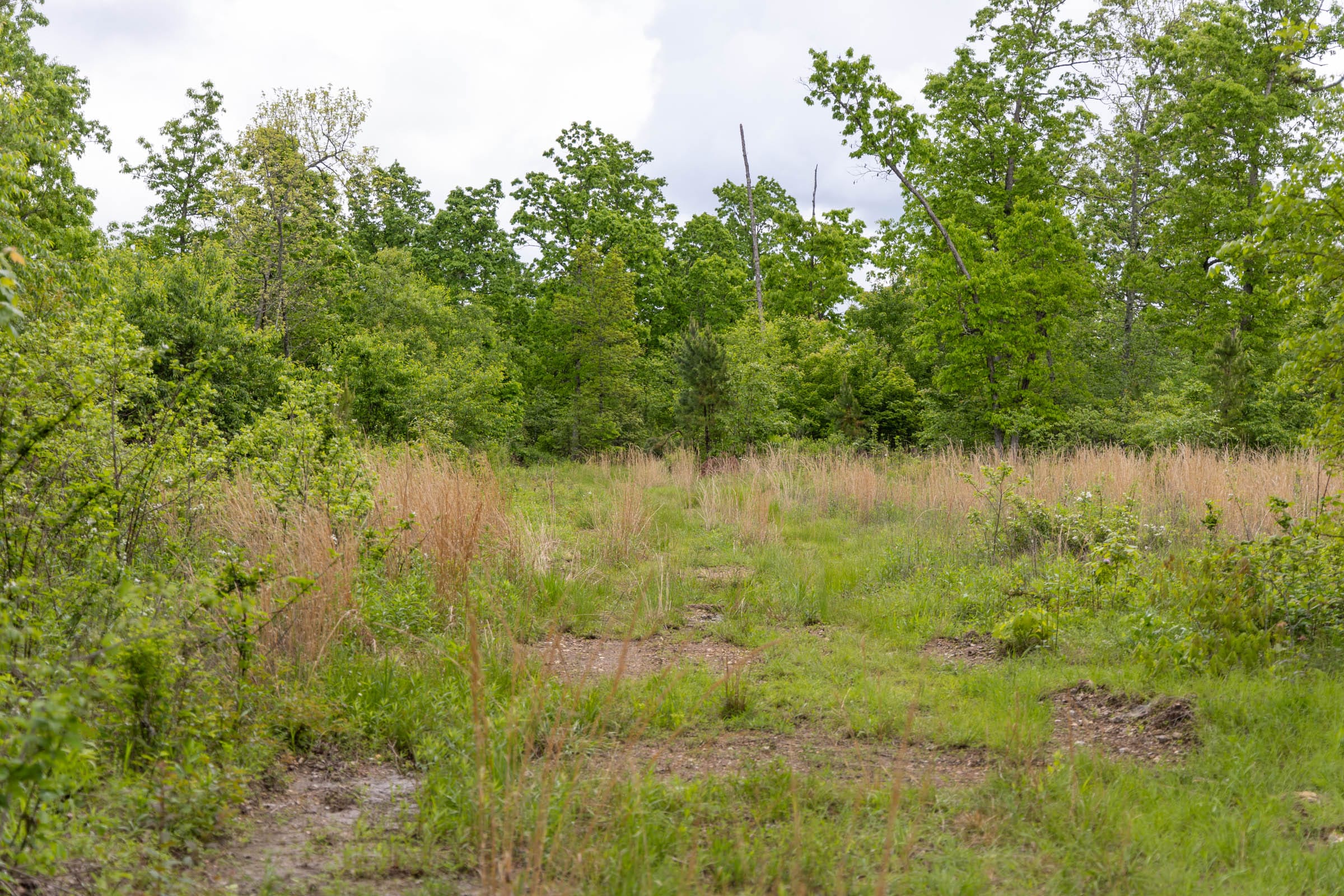 Sleepy Hollow Phase II Tract 70 photo 2