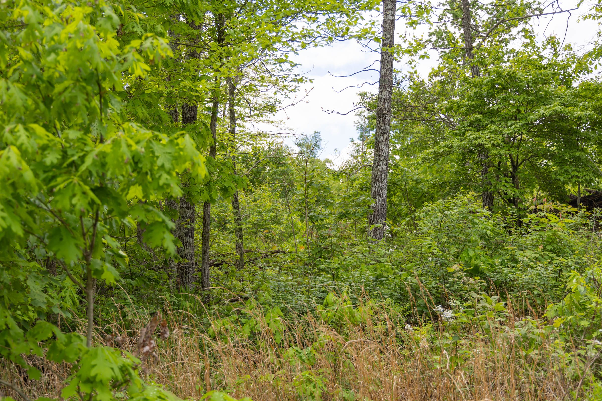 Sleepy Hollow Phase II Tract 70 photo 3